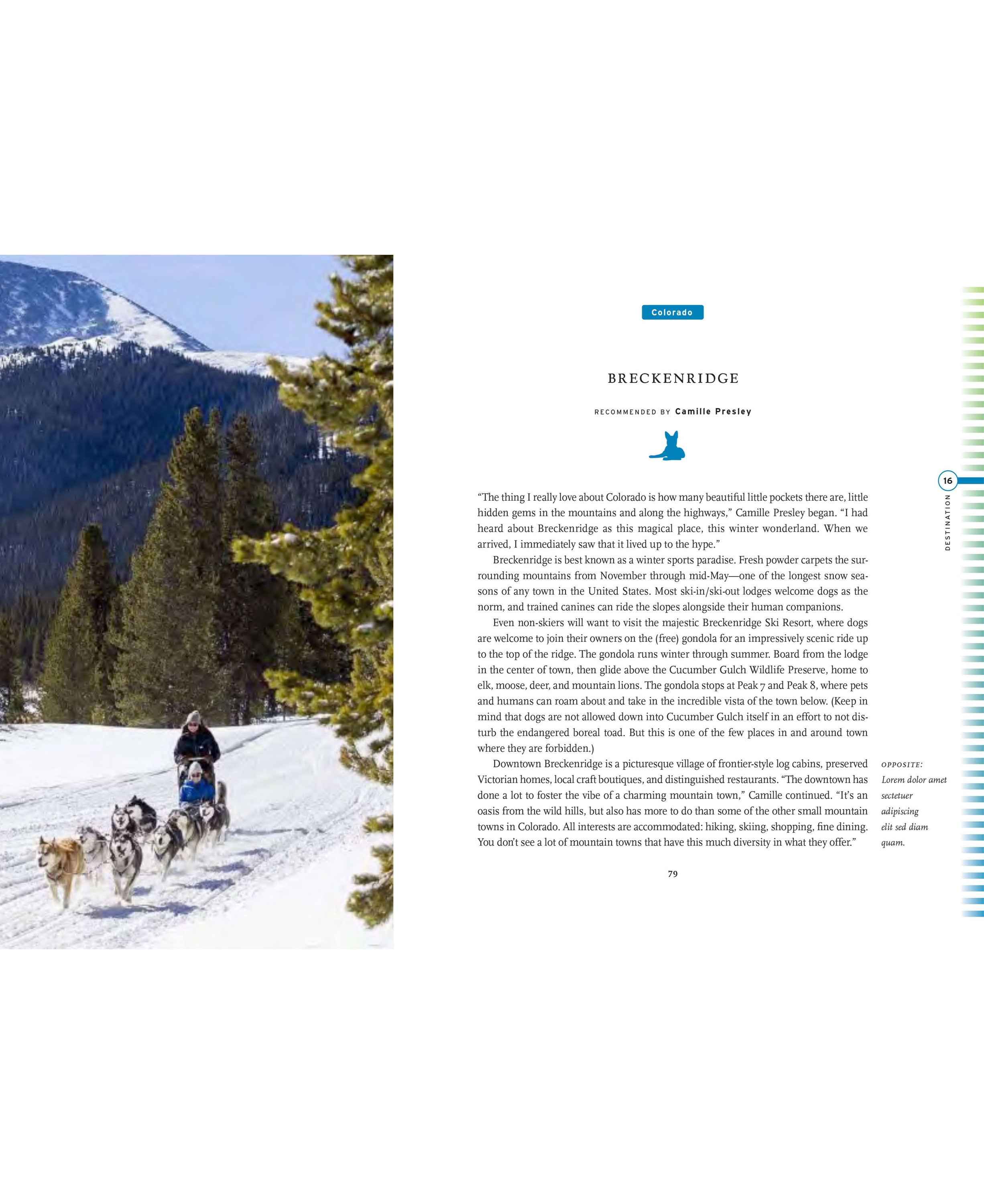 Fifty Places To Travel With Your Dog Before You Die