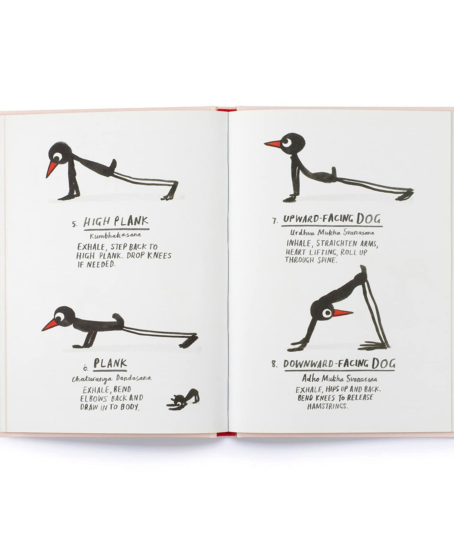 Yoga For Stiff Birds