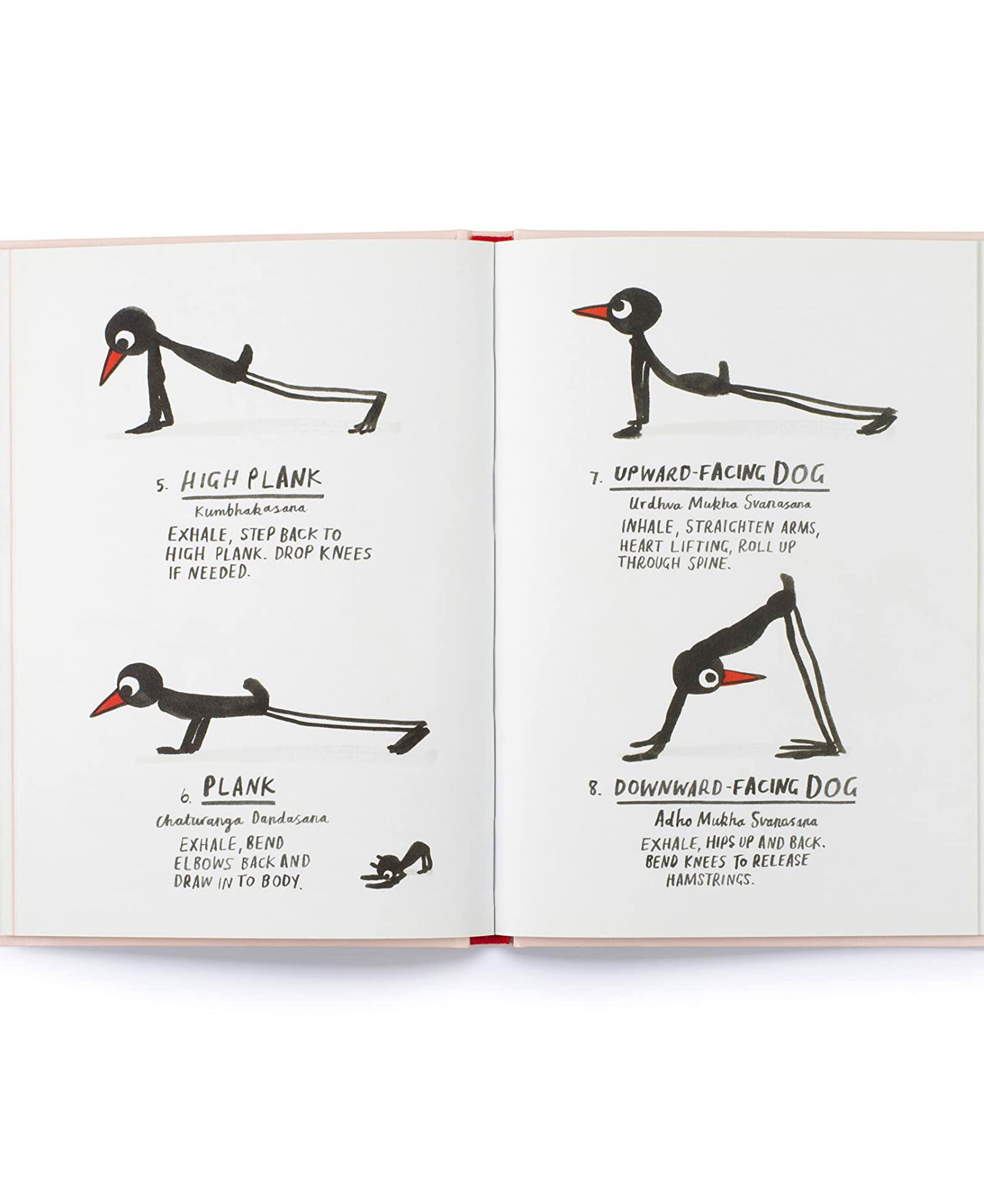 Yoga For Stiff Birds