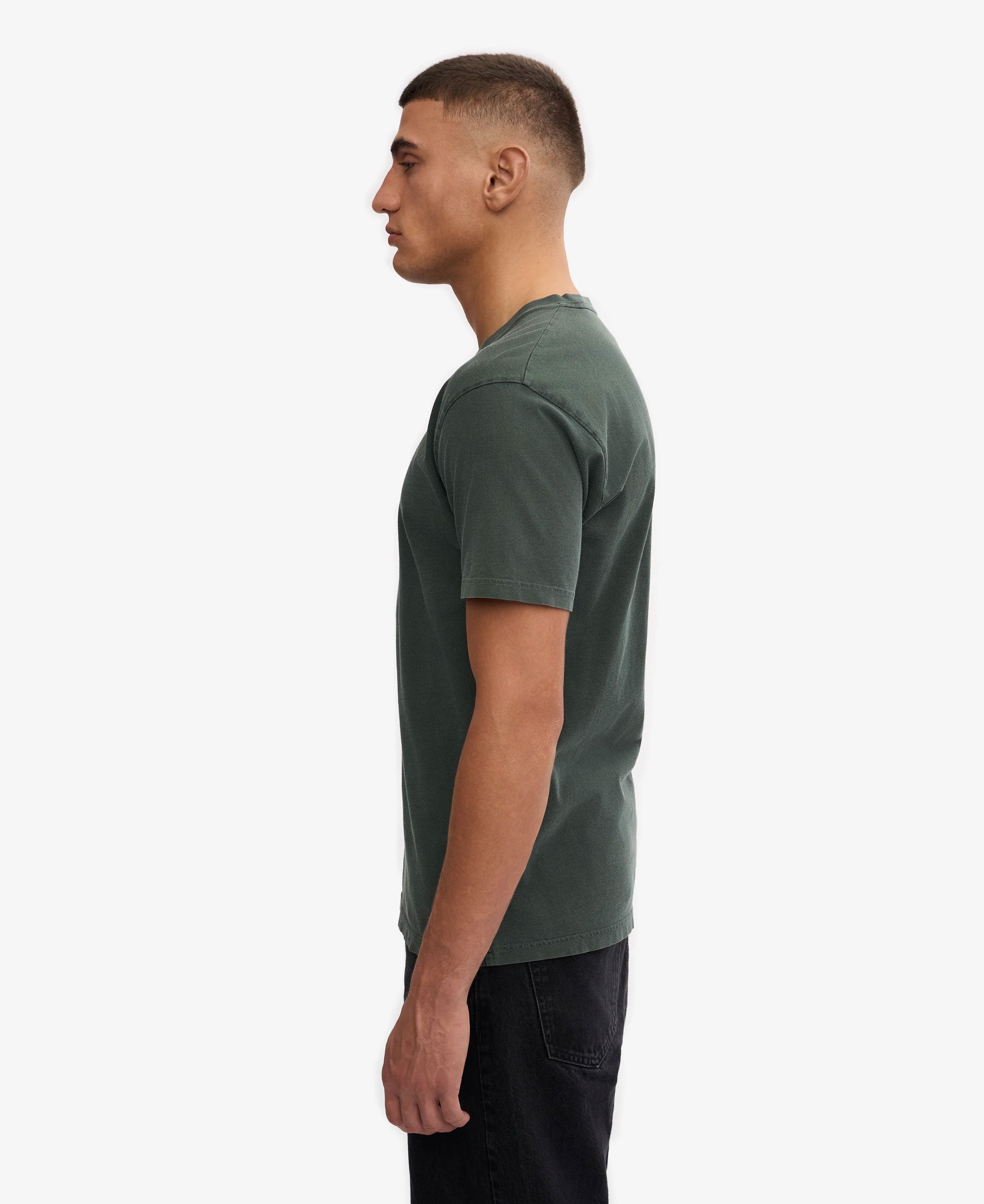 Classic Organic Tee - Midnight Forest