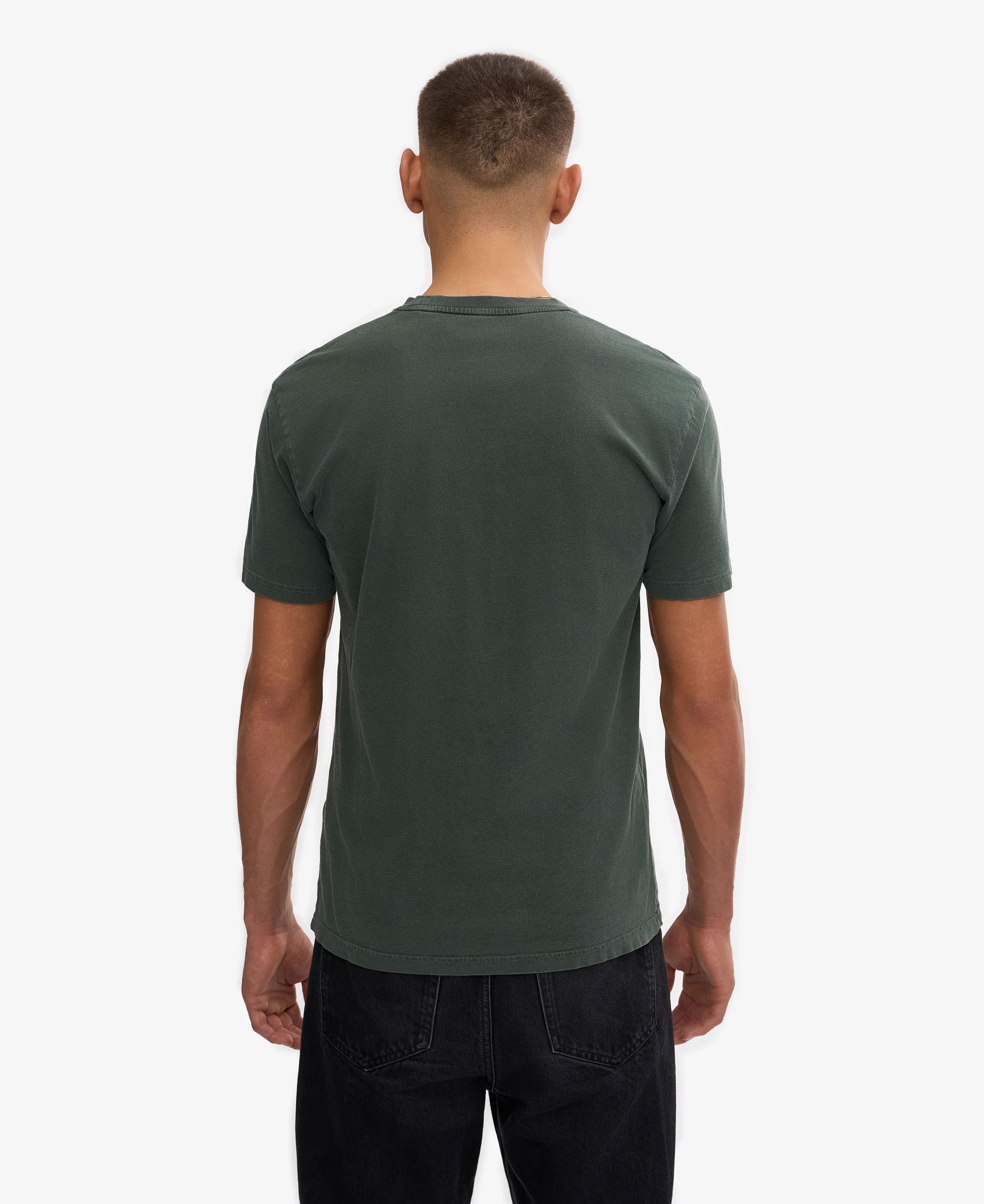 Classic Organic Tee - Midnight Forest