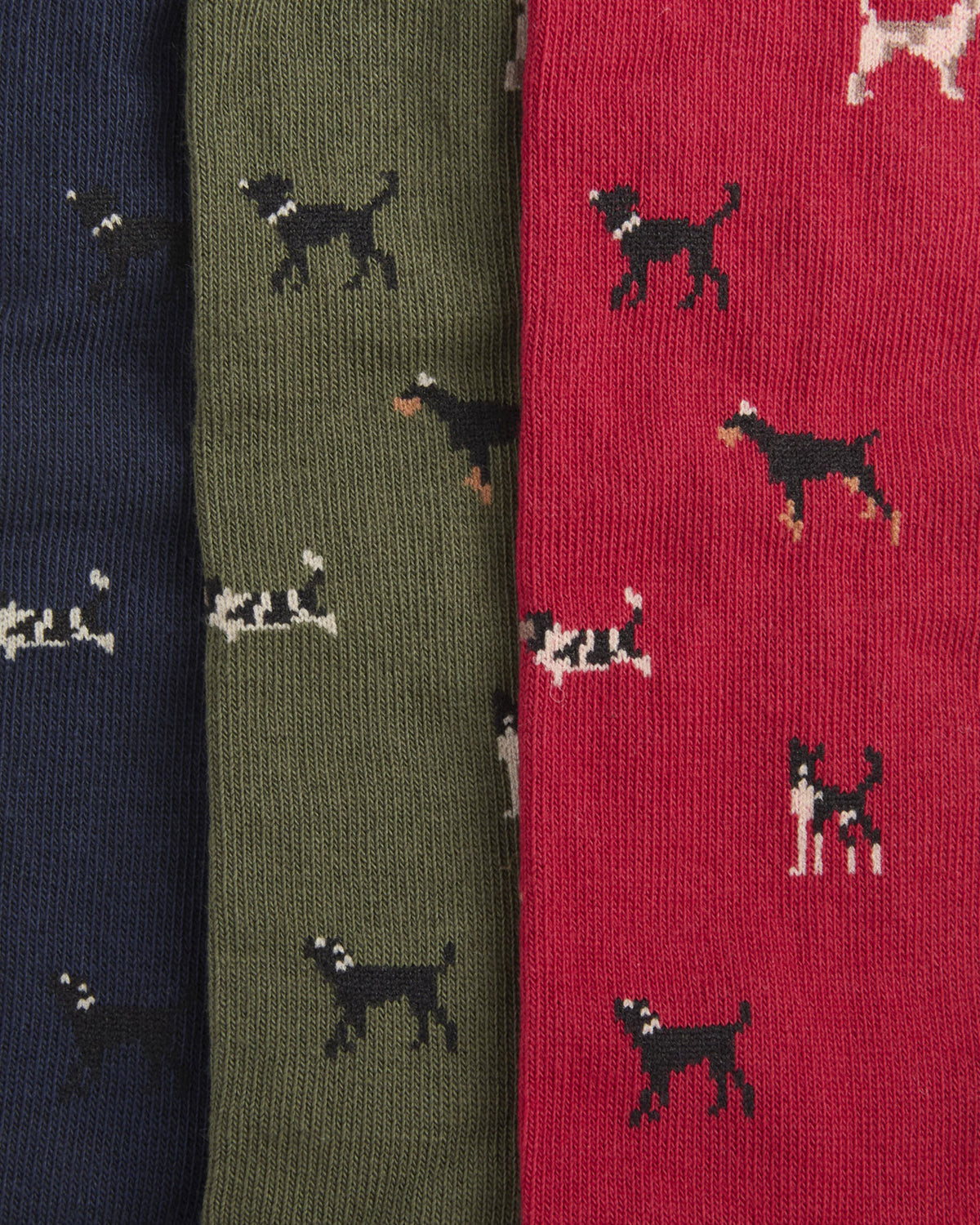 Dog Sock Gift Set - Navy/Red/Green