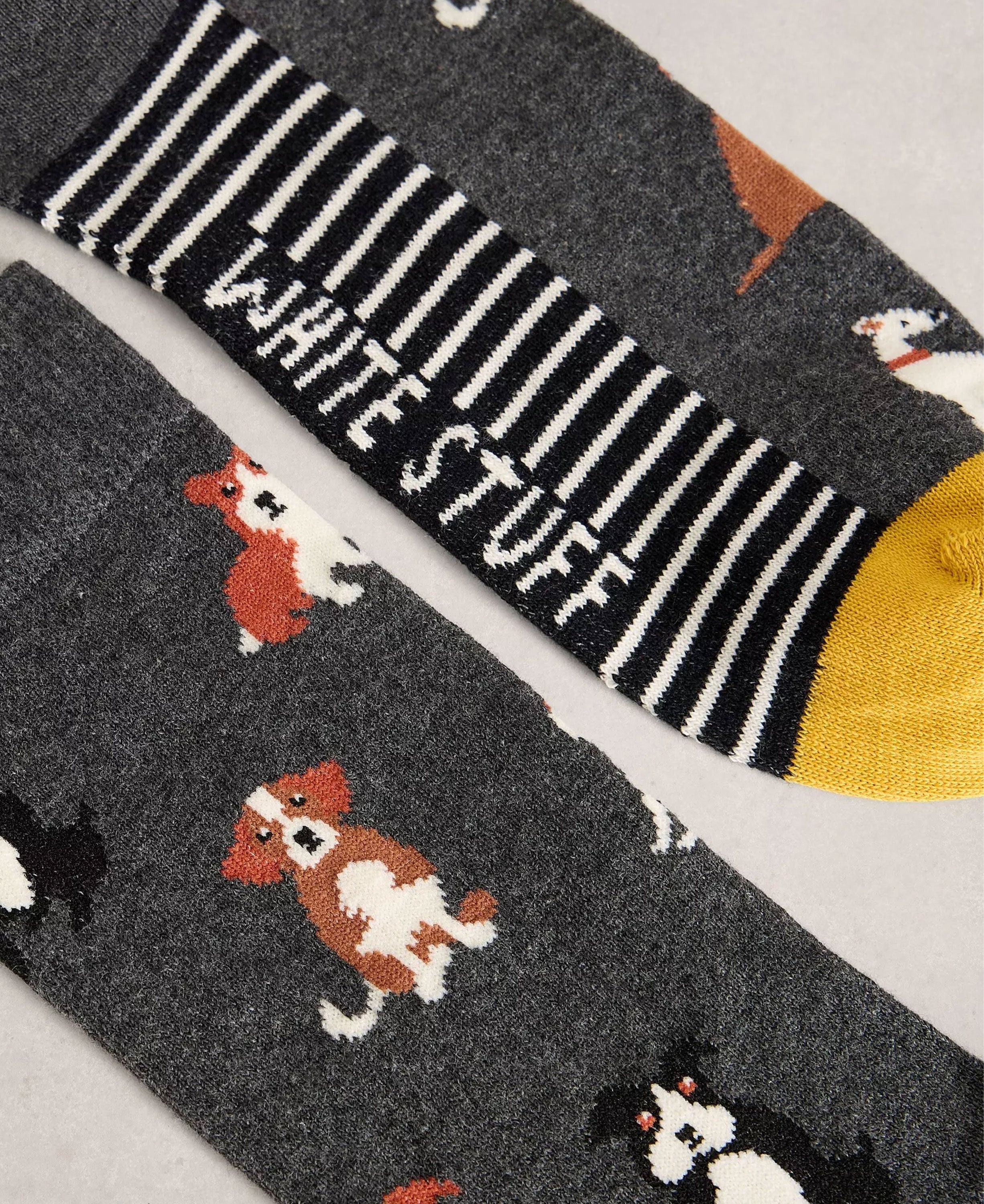 Dogs In A Cracker - Grey Multi