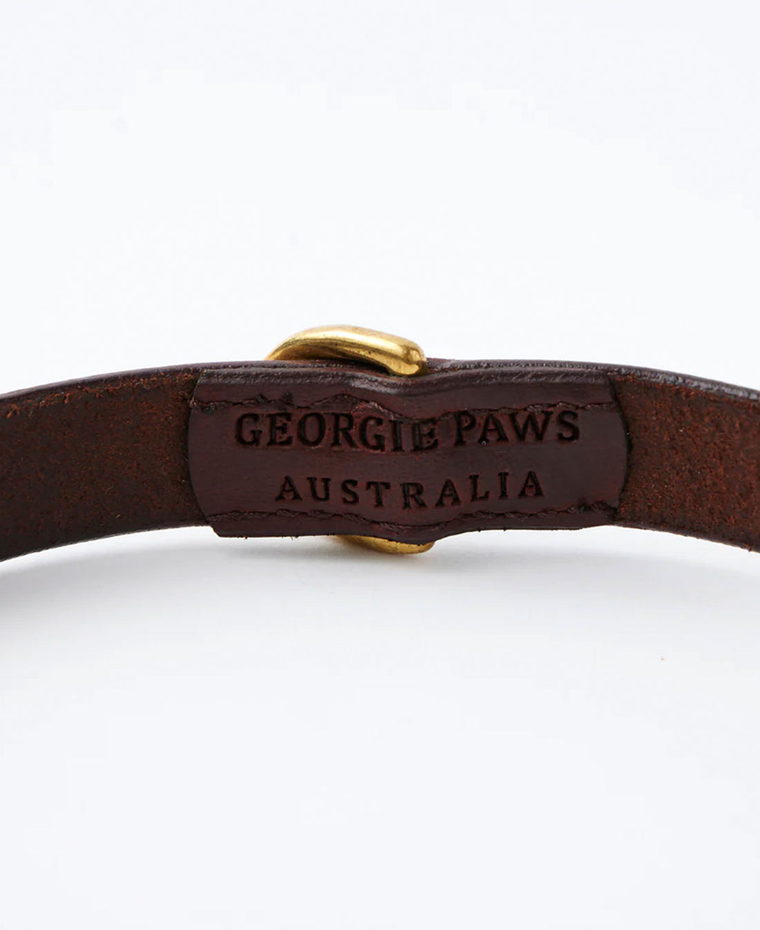 Bald Collar - Chicory