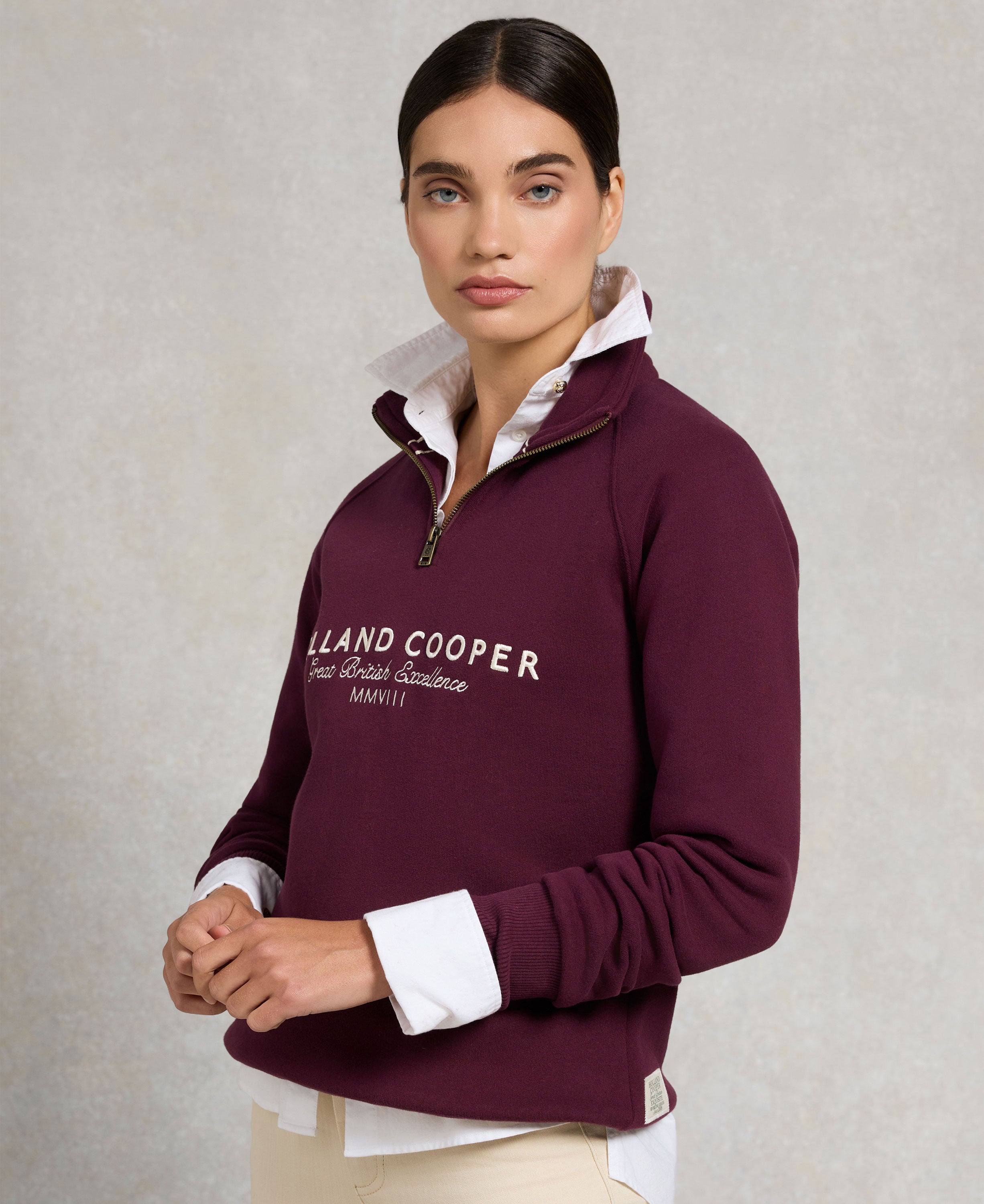 Sporting Goods Zip Henley Sweatshirt - Mulberry
