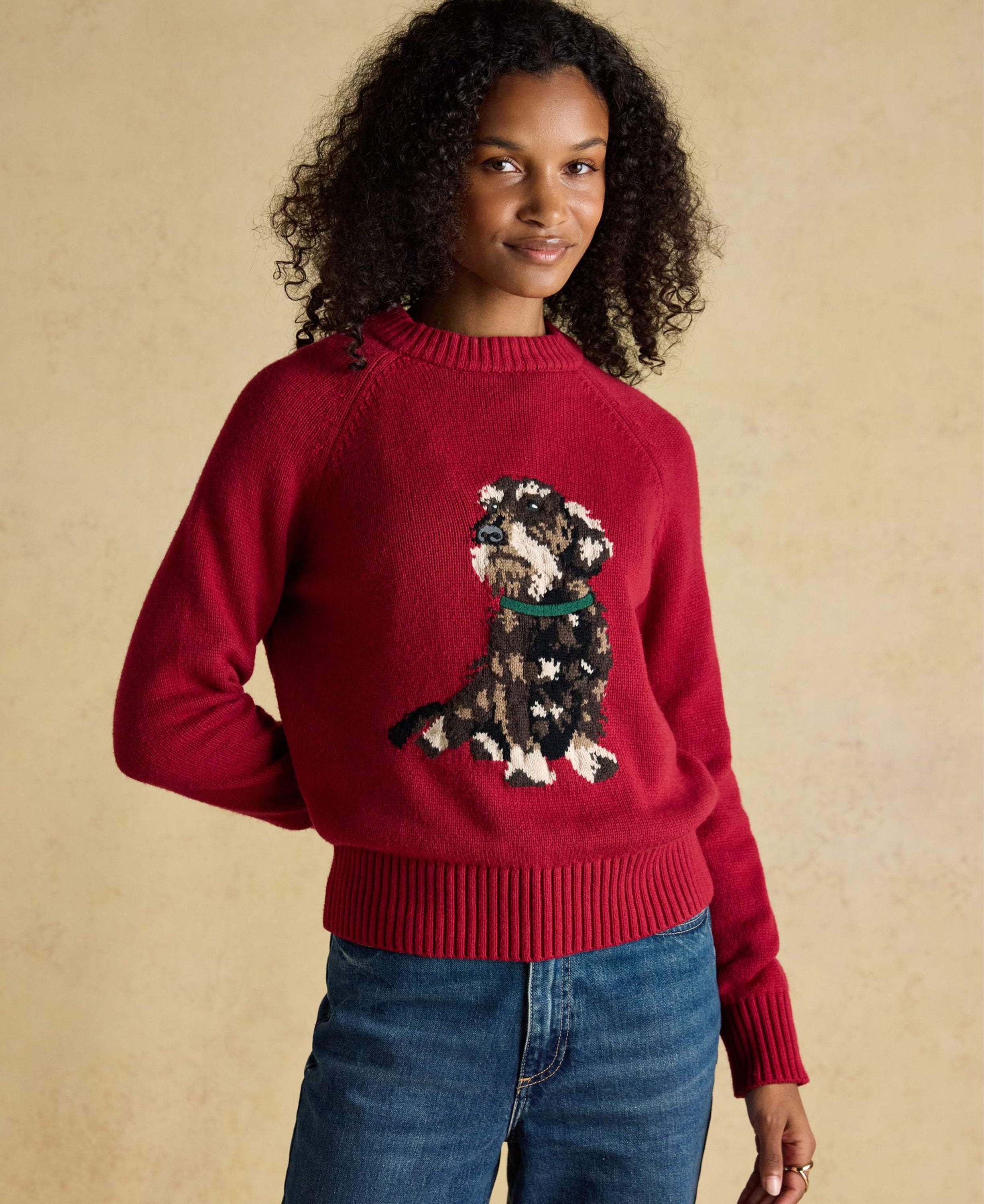 Dachshund Intarsia Jumper - Red