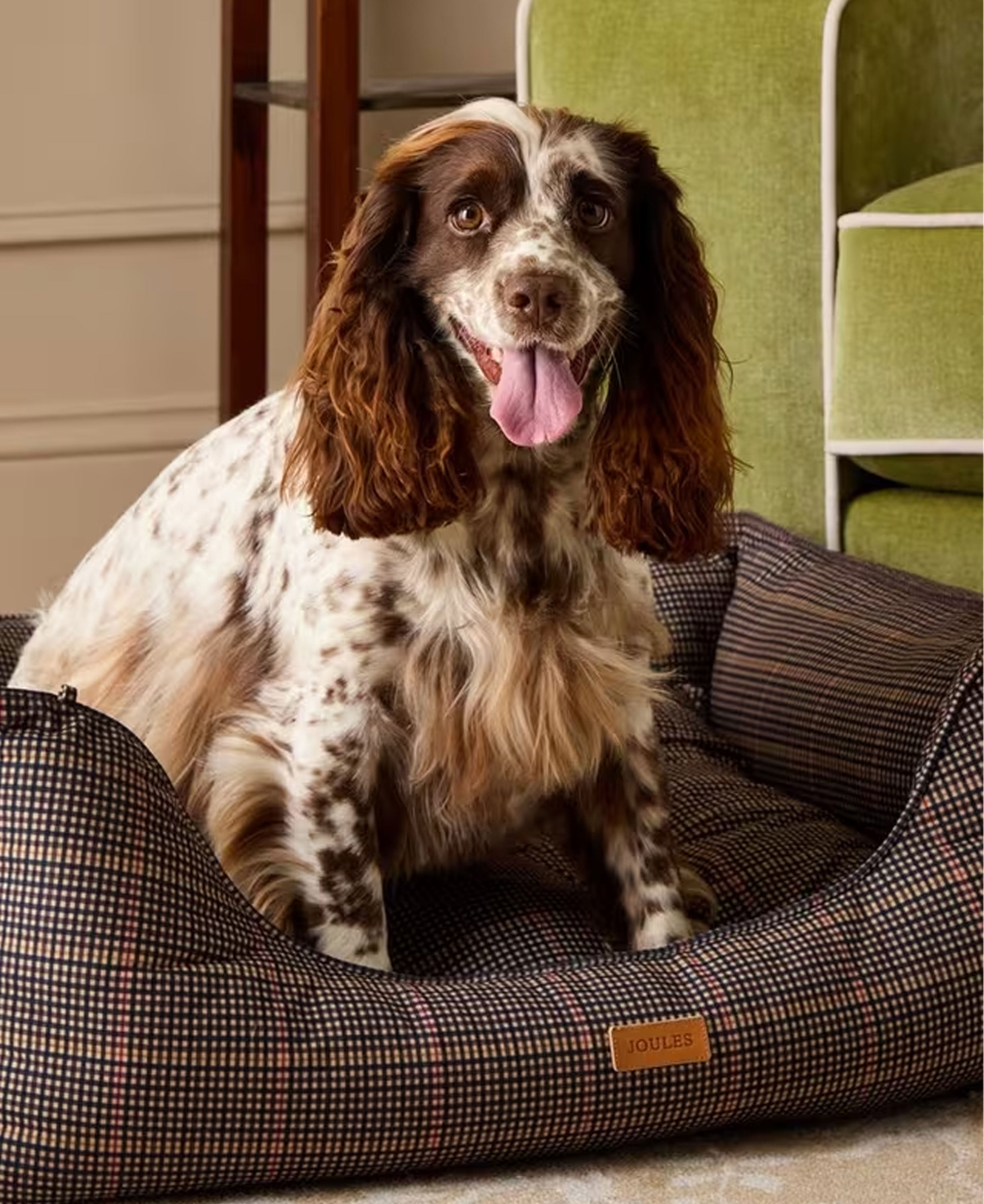Box Bed Large - Henson Check