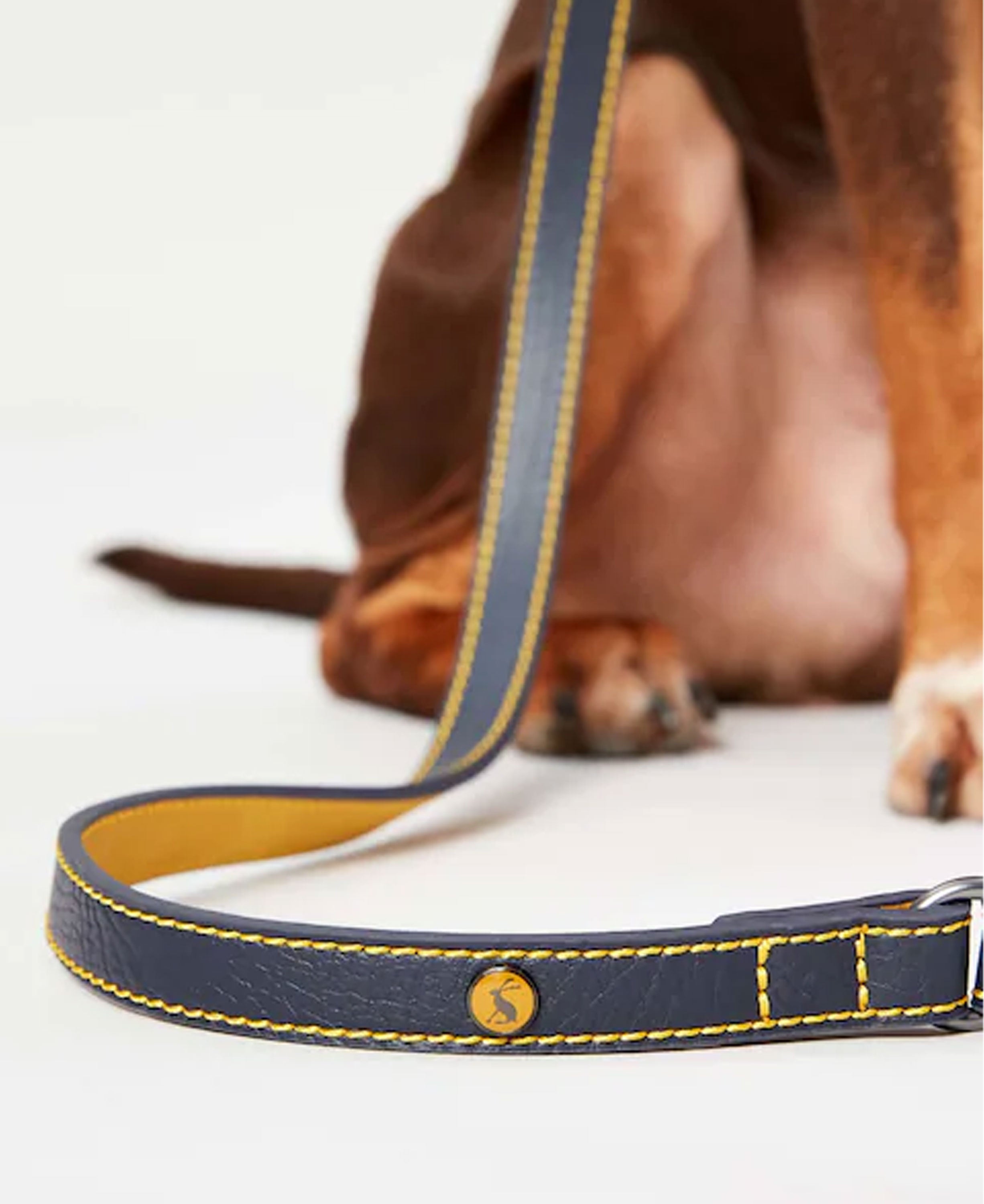 Leather Lead - Navy