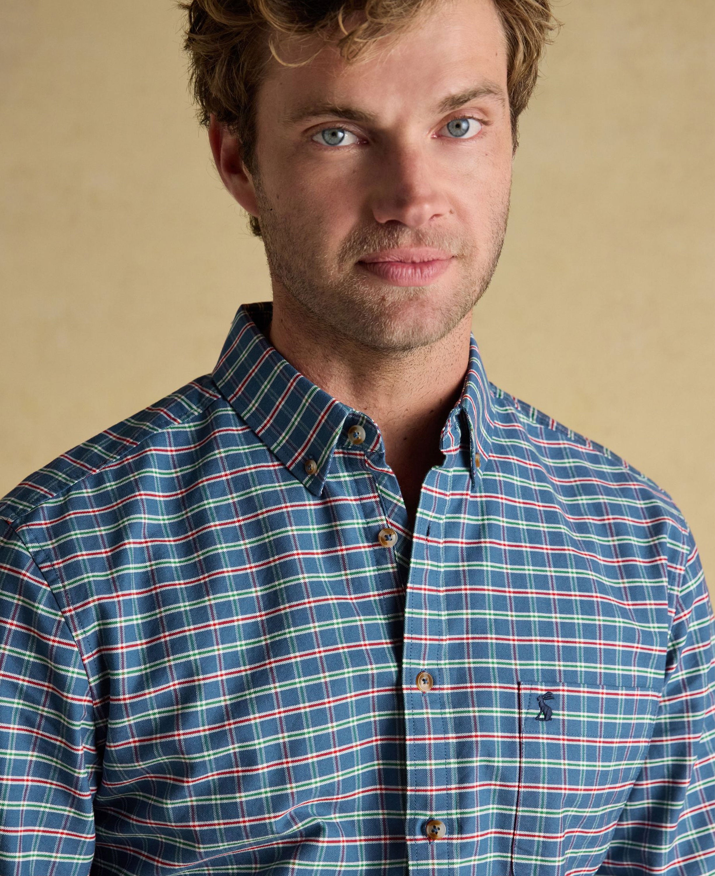 Oxford Check Cotton Shirt - Blue