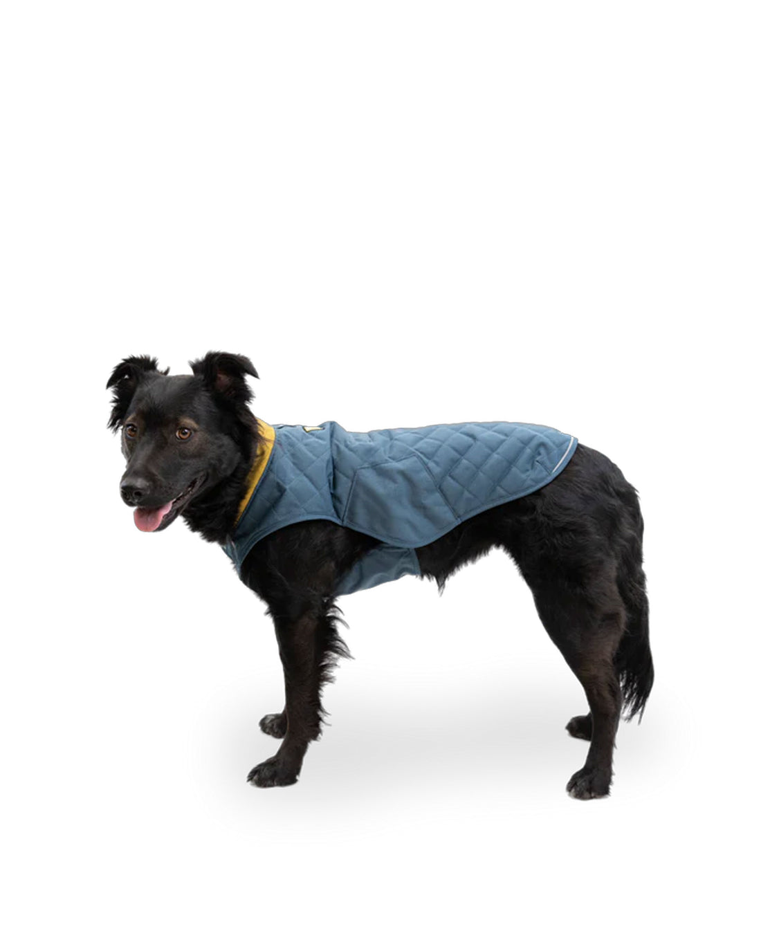 Stumptown Jacket - Orion Blue