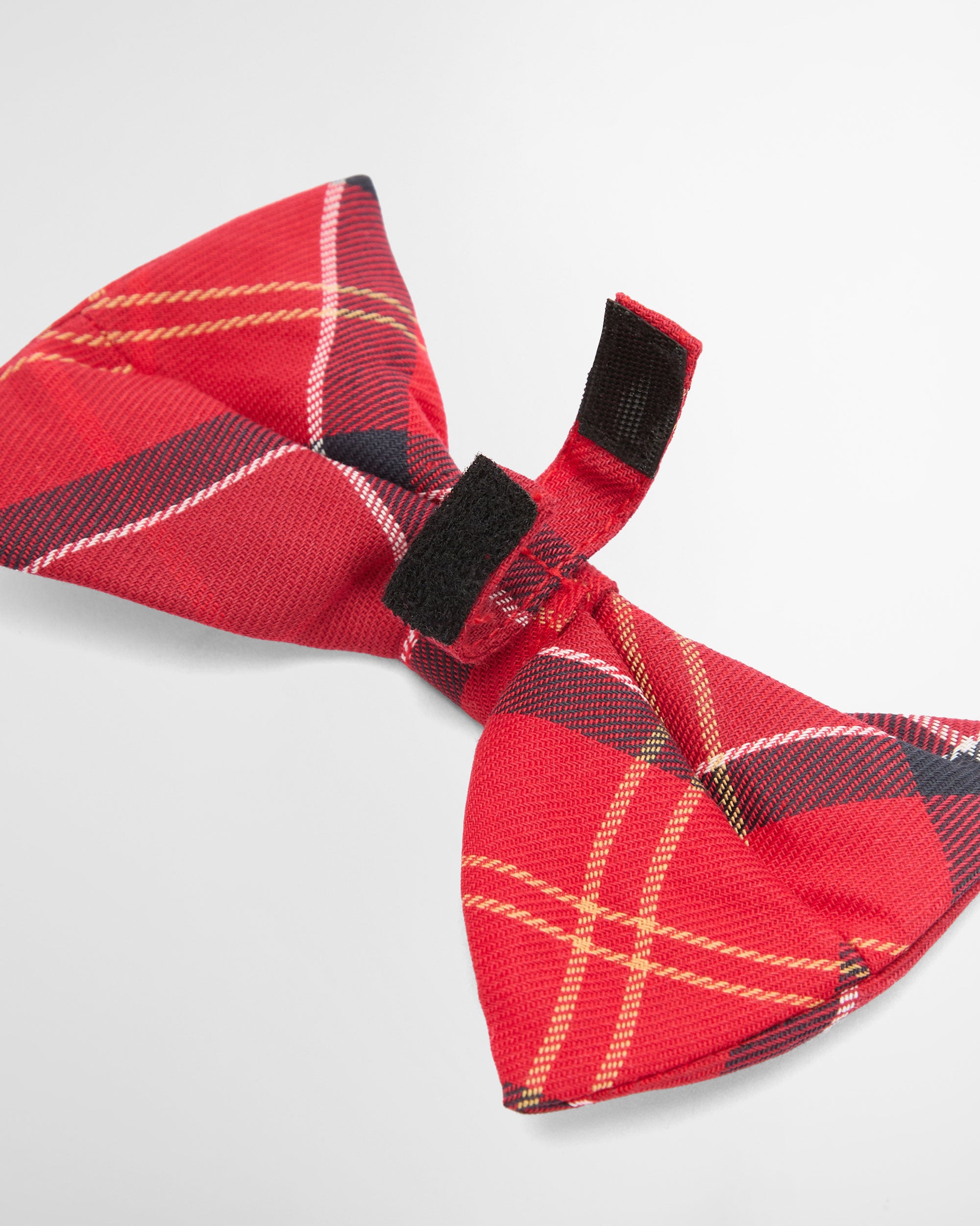 Tartan Dog Bow Tie - Cardinal Tartan