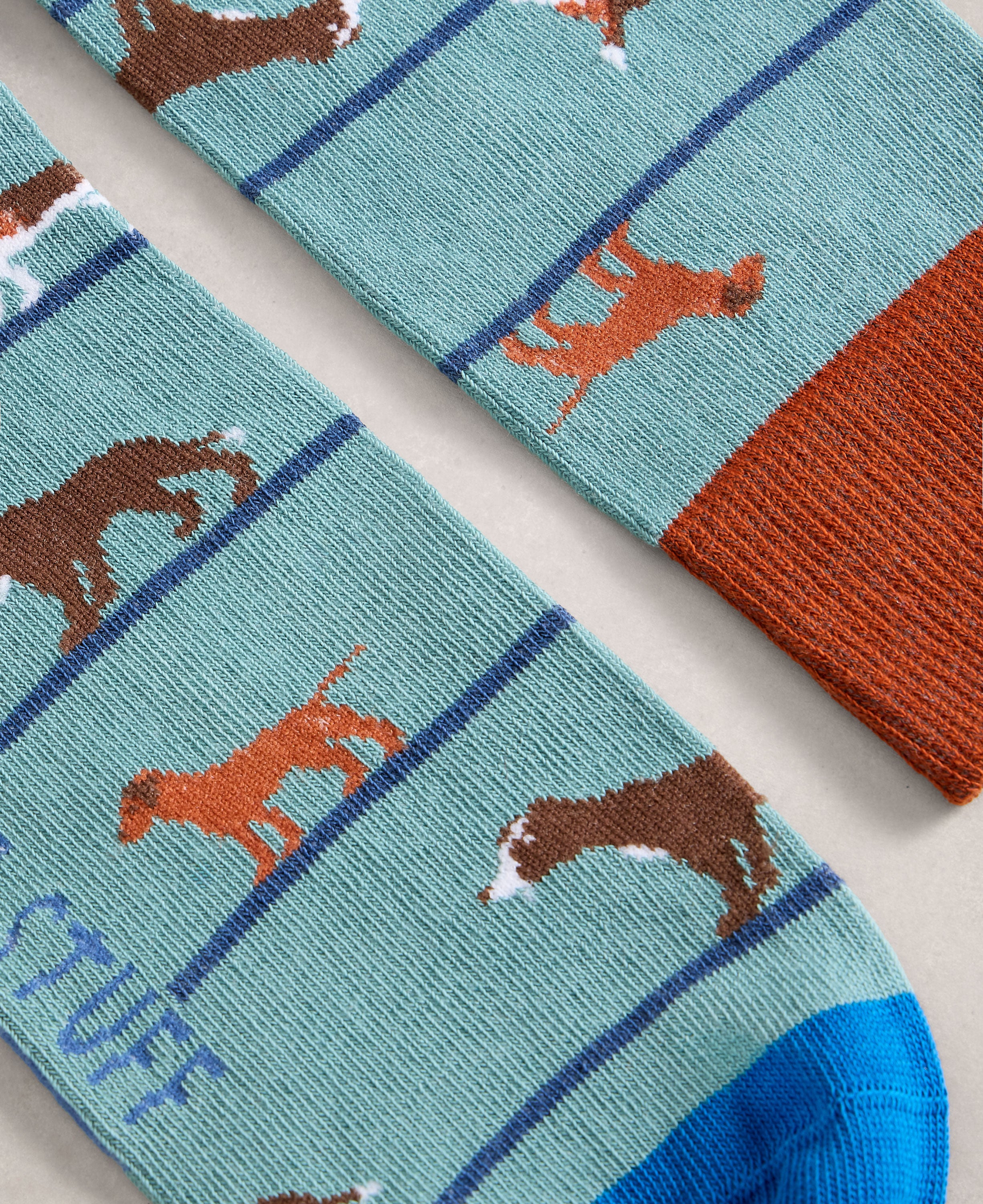 Novelty Ankle Sock - Mid Blue