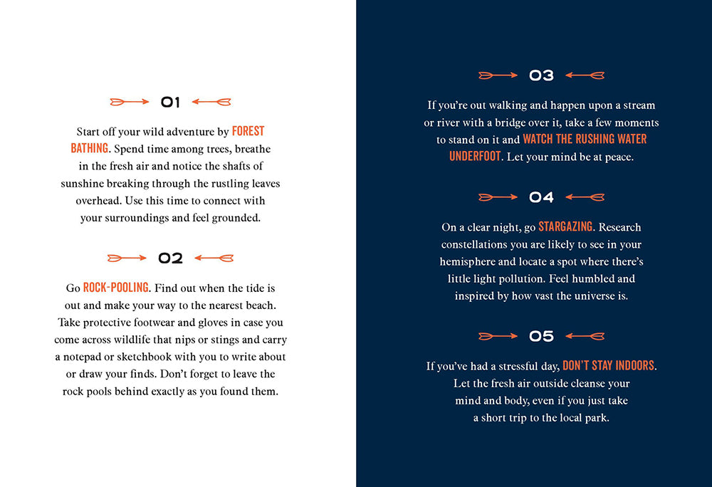 365 Ways to Go Wild by Sam Lacey