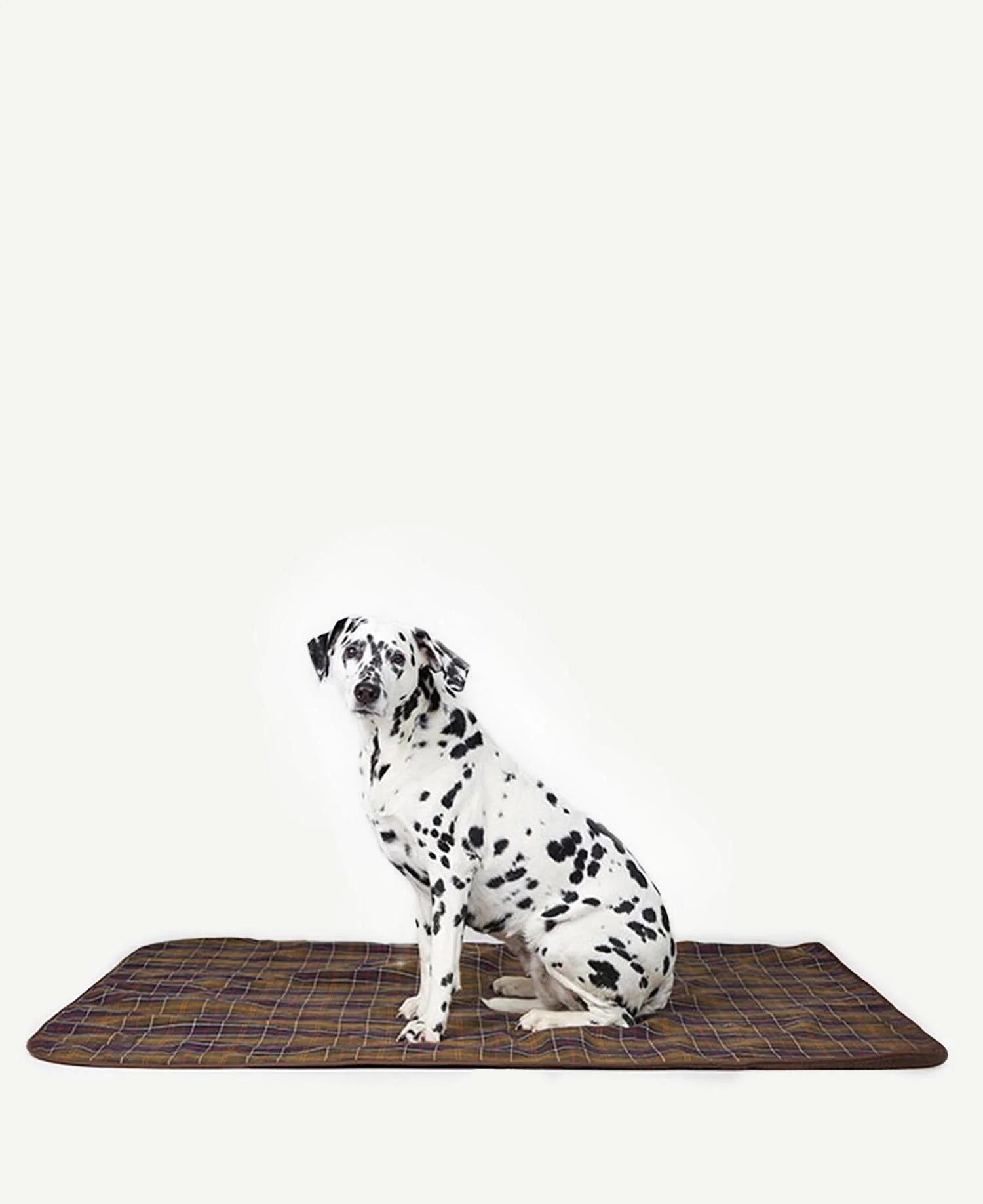 Large Dog Blanket in Classic/Brown