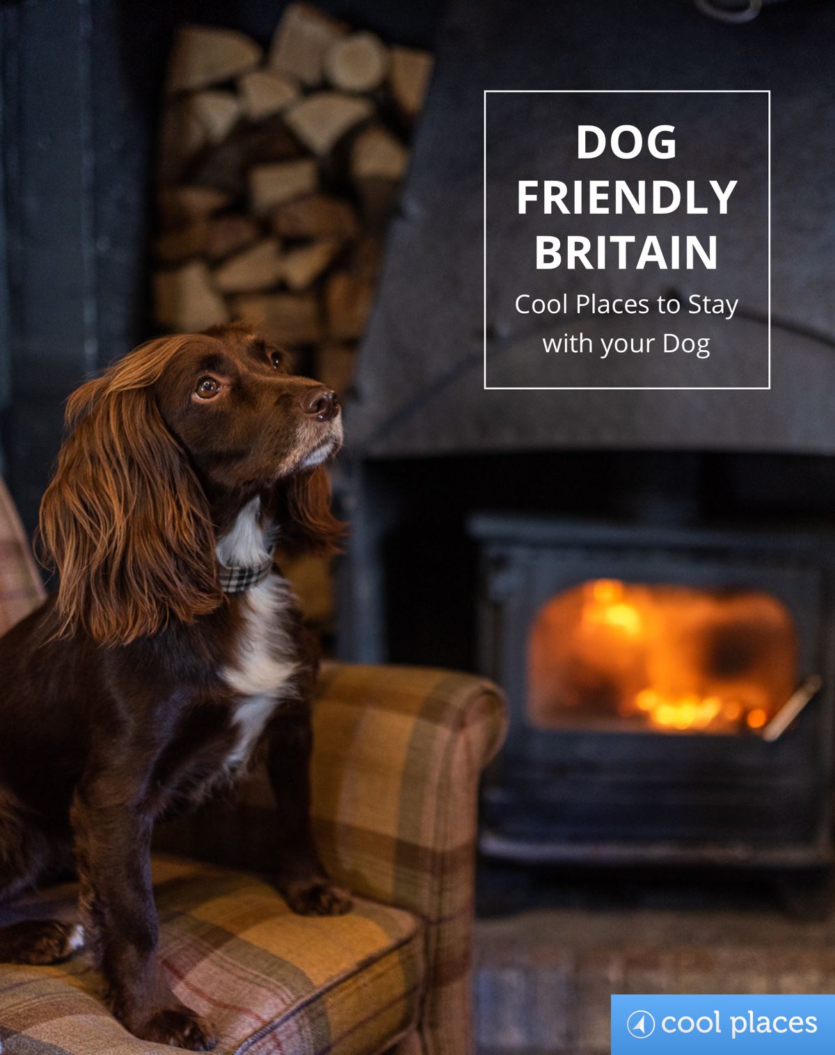 Dog Friendly Britain by Punk Publishing