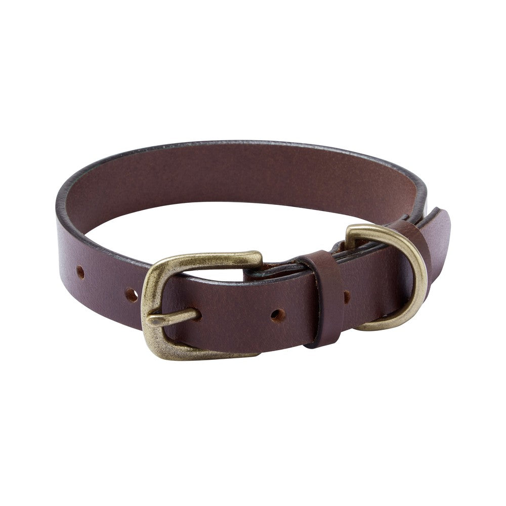 Dog Collar - Marron Fonce