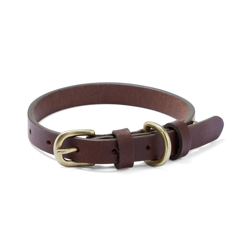 Dog Collar - Marron Fonce