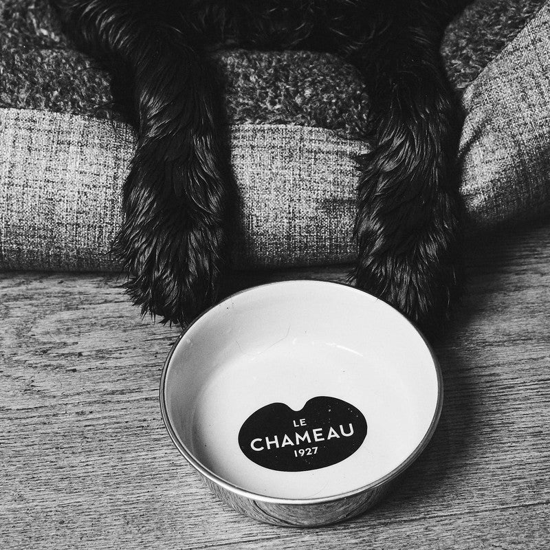 Stainless Steel Dog Bowl - Gris Ardoise