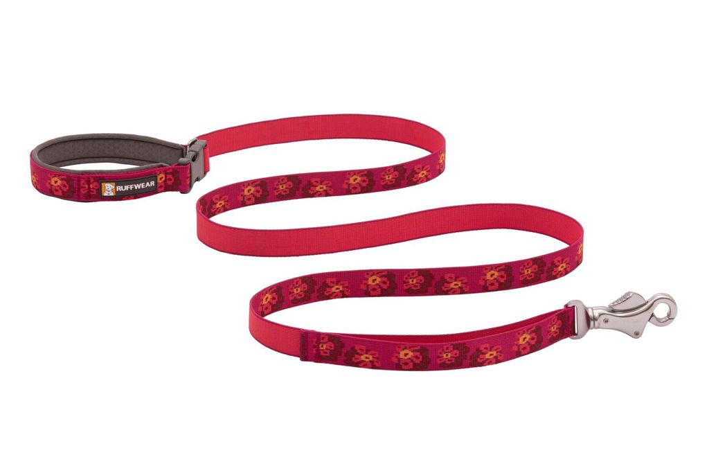 Flat Out Leash - Alpenglow Burst