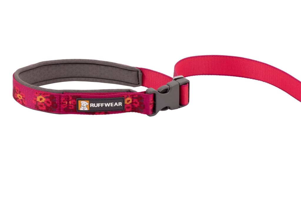 Flat Out Leash - Alpenglow Burst
