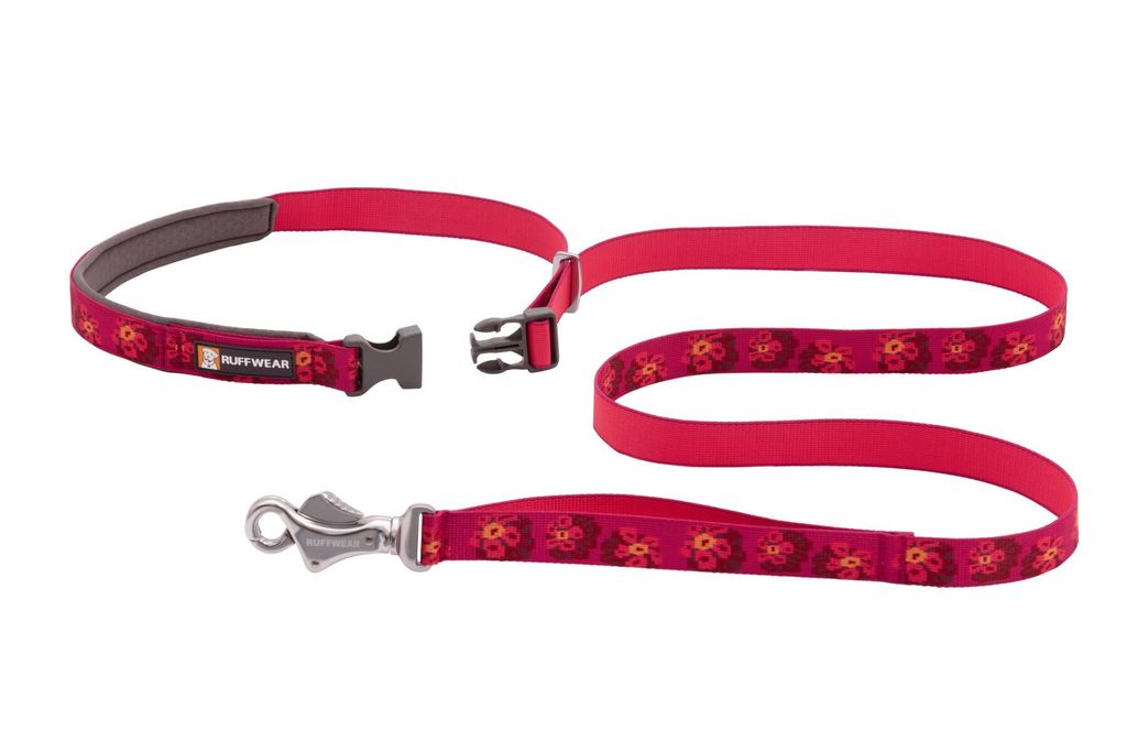 Flat Out Leash - Alpenglow Burst