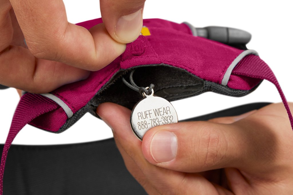 Front Range Harness - Hibiscus Pink