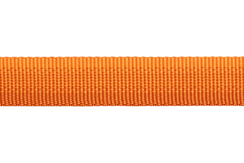 Front Range Leash - Campfire Orange