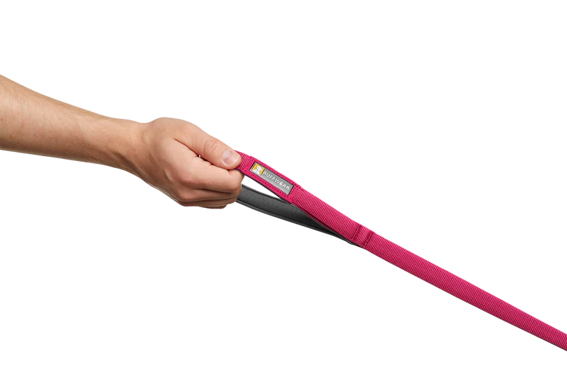 Front Range Leash - Hibiscus Pink