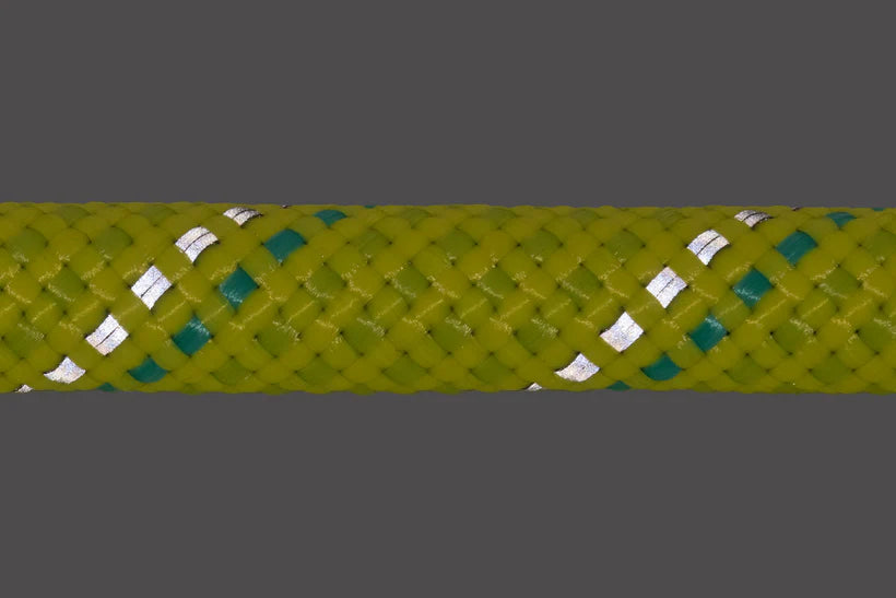 Just-A-Cinch Leash - Lichen Green