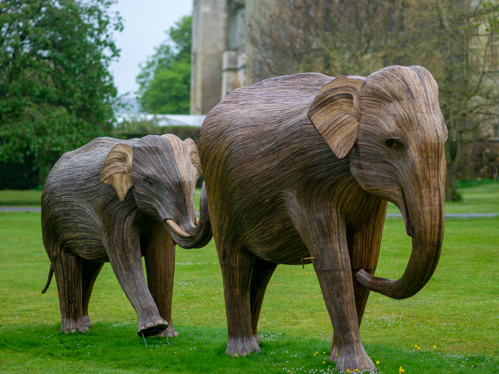 Visiting the Elephant Family at Sudeley Castle
