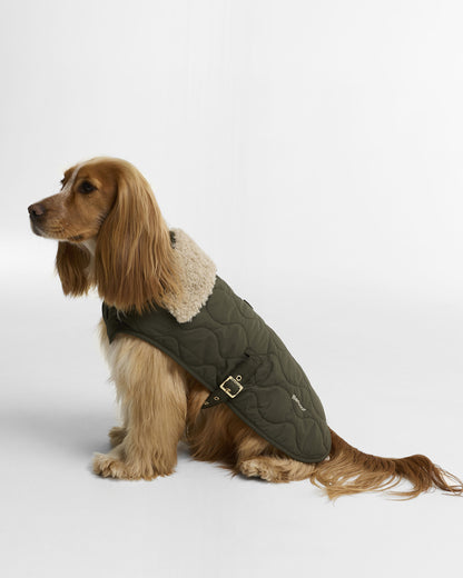 Beith Quilted Dog Coat - Olive