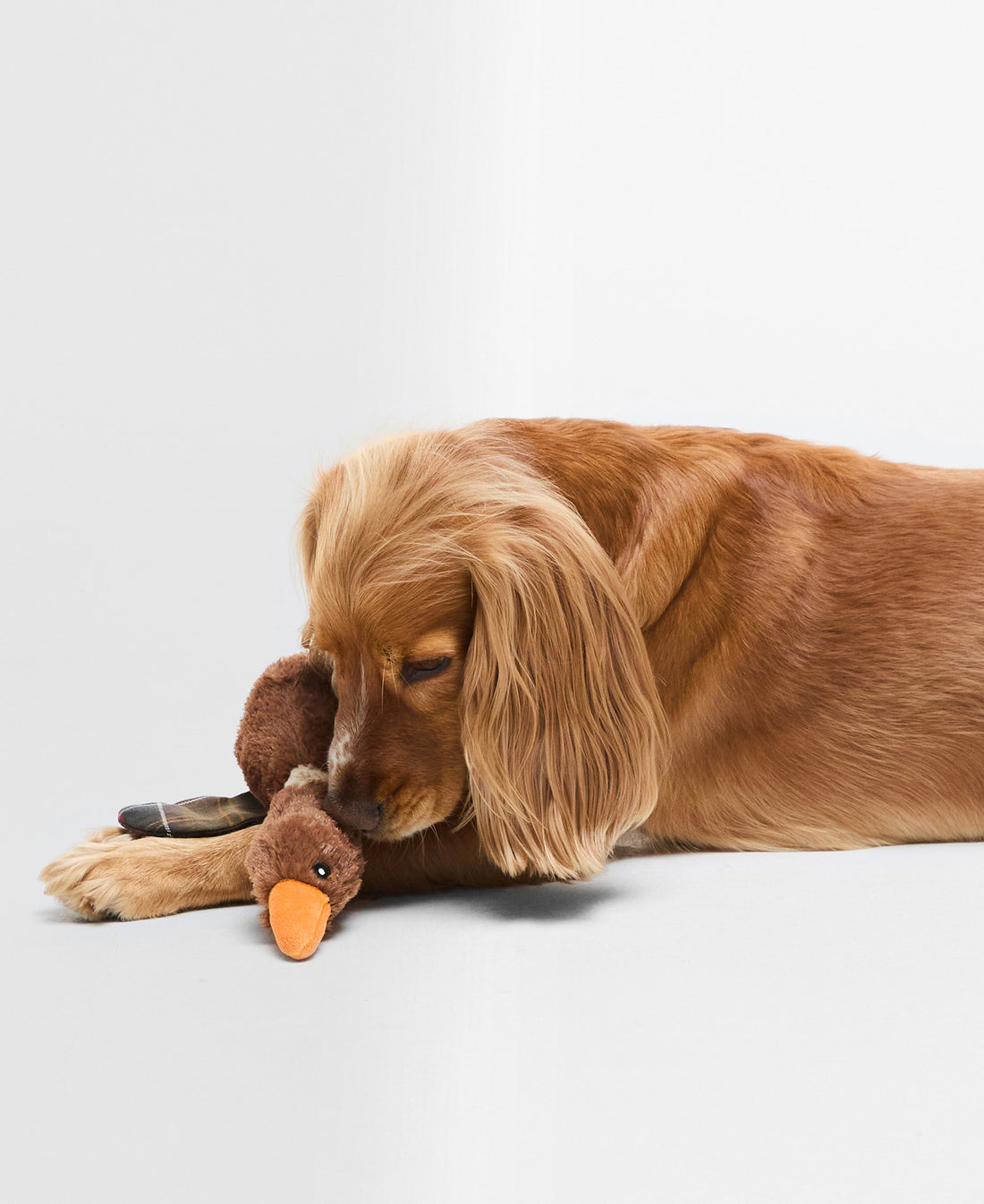 Dog Flying Duck Toy - Brown