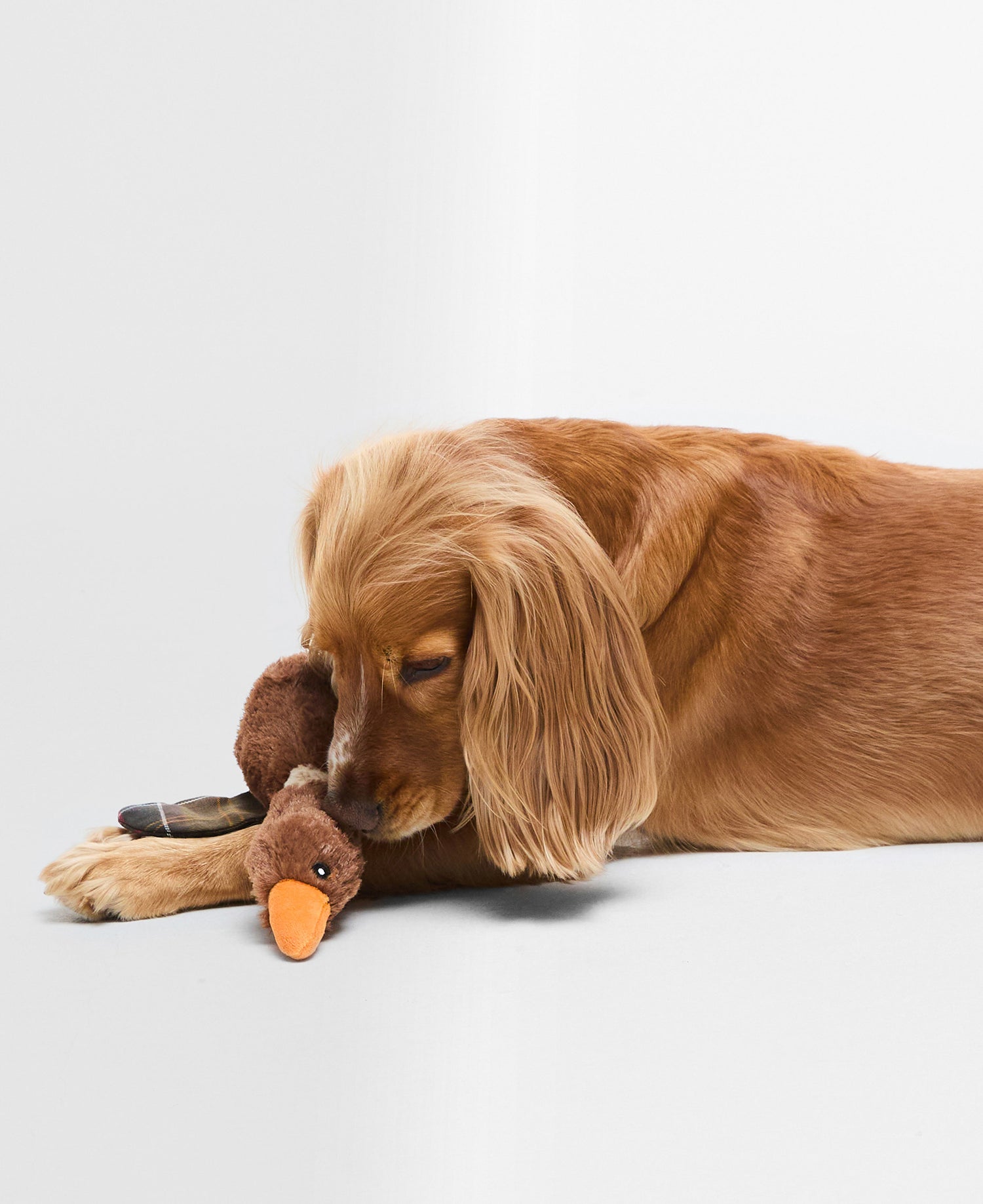 Dog Flying Duck Toy - Brown