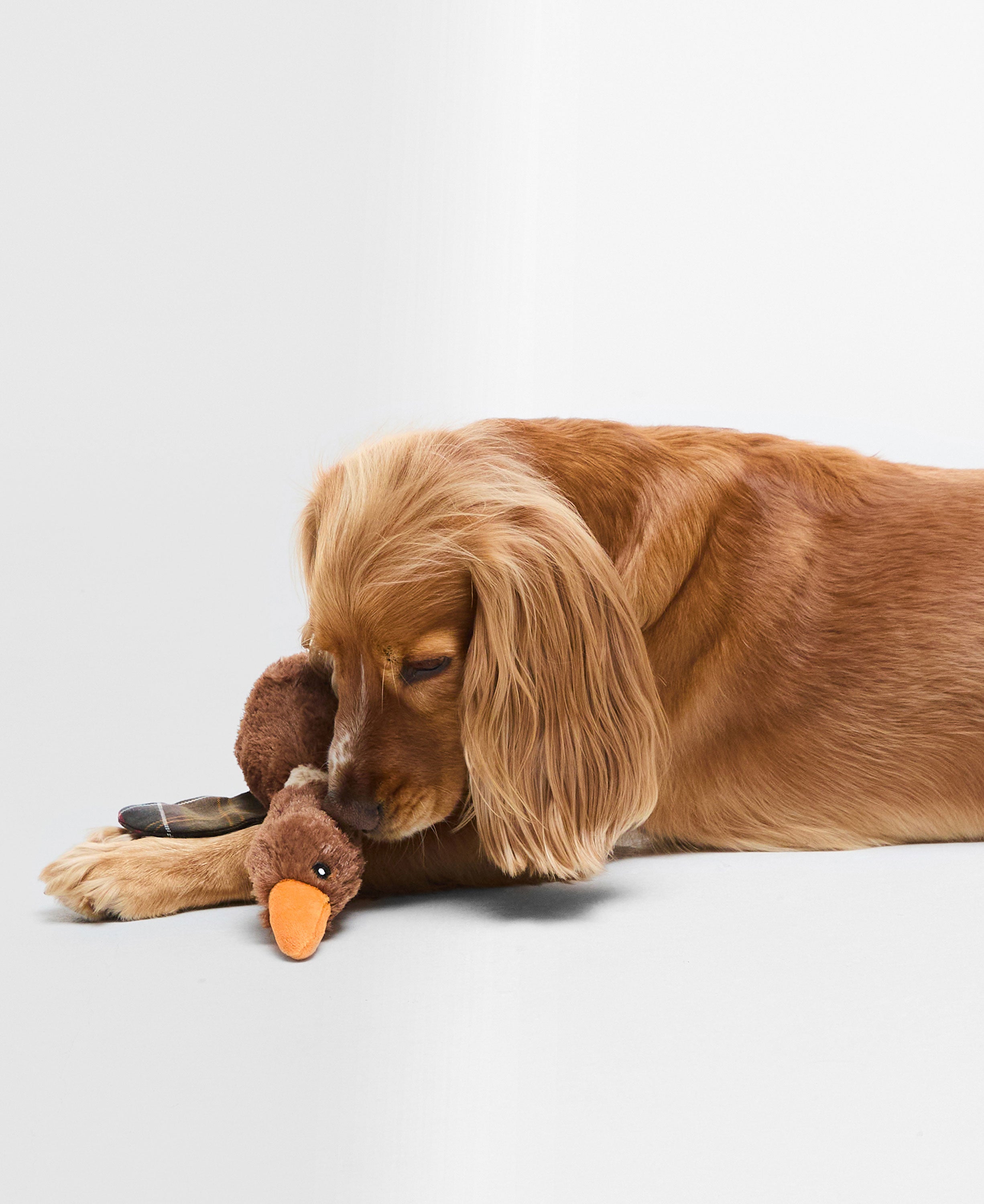 Dog Flying Duck Toy - Brown