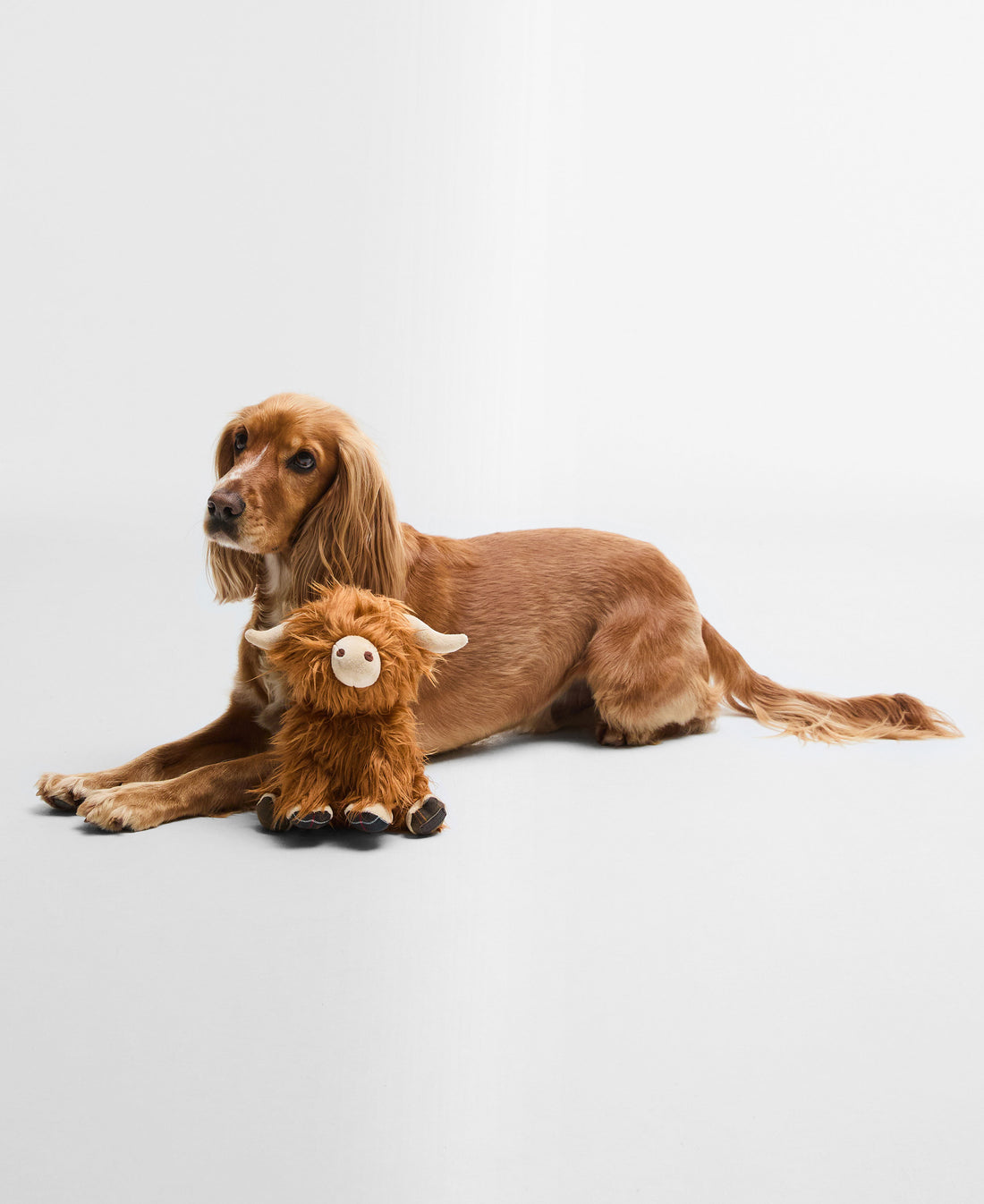 Dog Highland Cow Toy - Brown/Classic Tartan