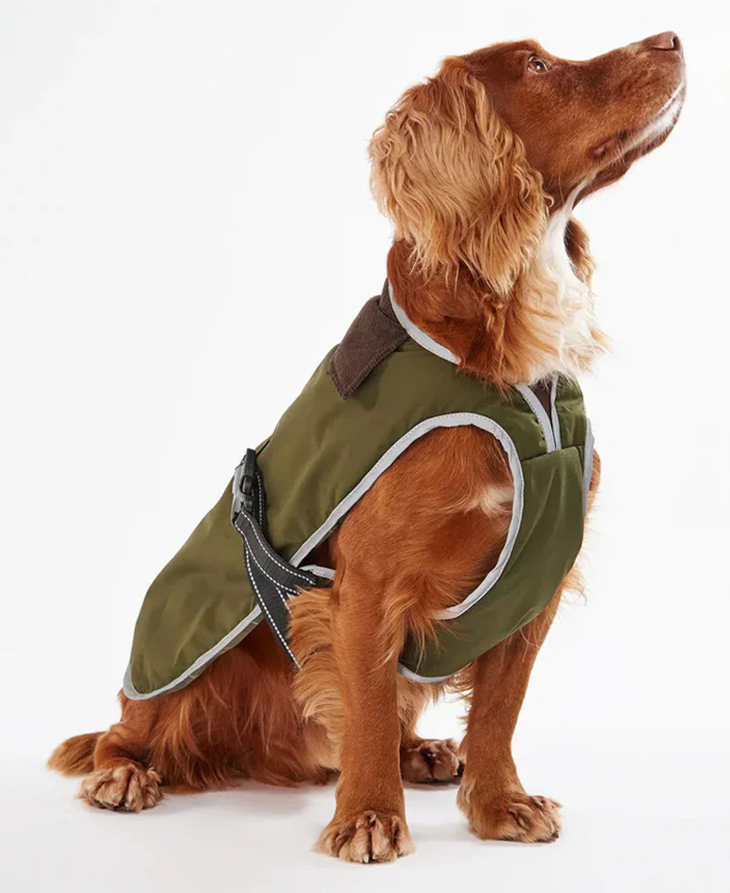 Monmouth Waterproof Dog Coat - Olive