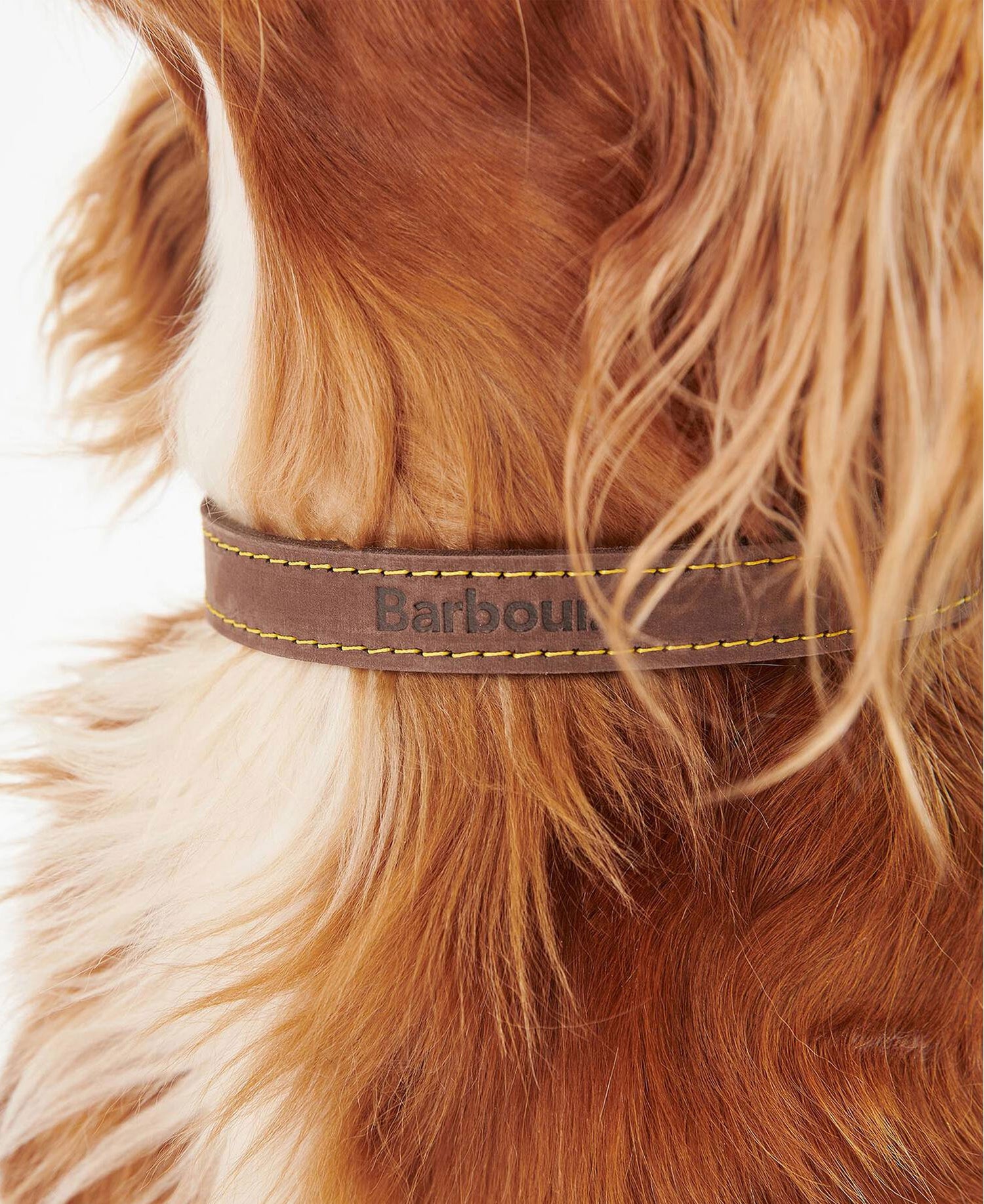 Leather Dog Collar - Brown