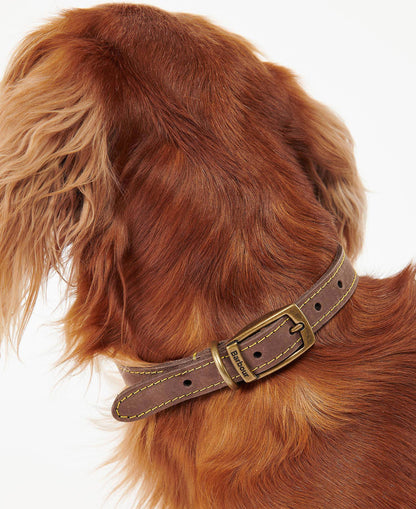 Leather Dog Collar - Brown
