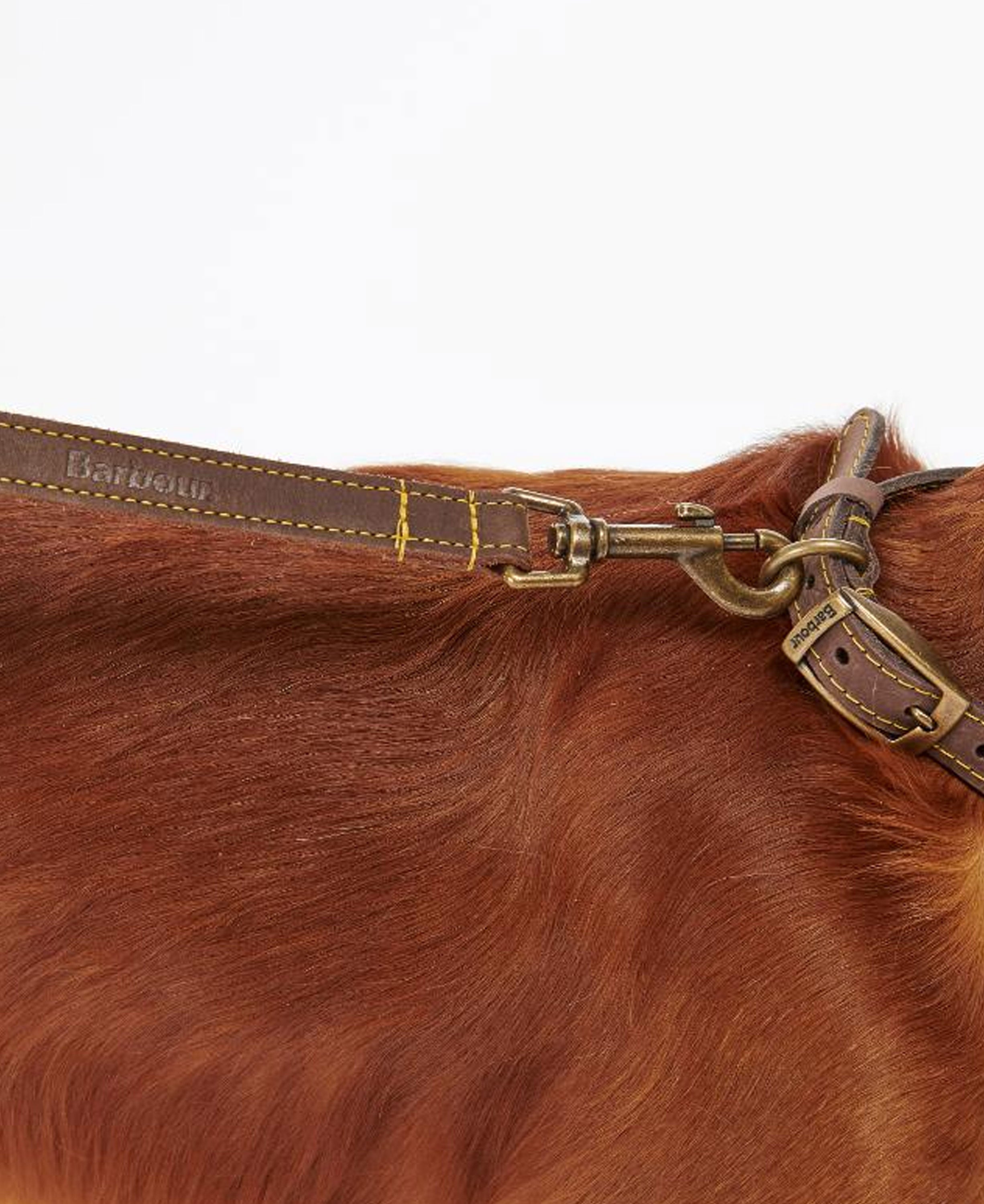 Leather Dog Lead - Brown