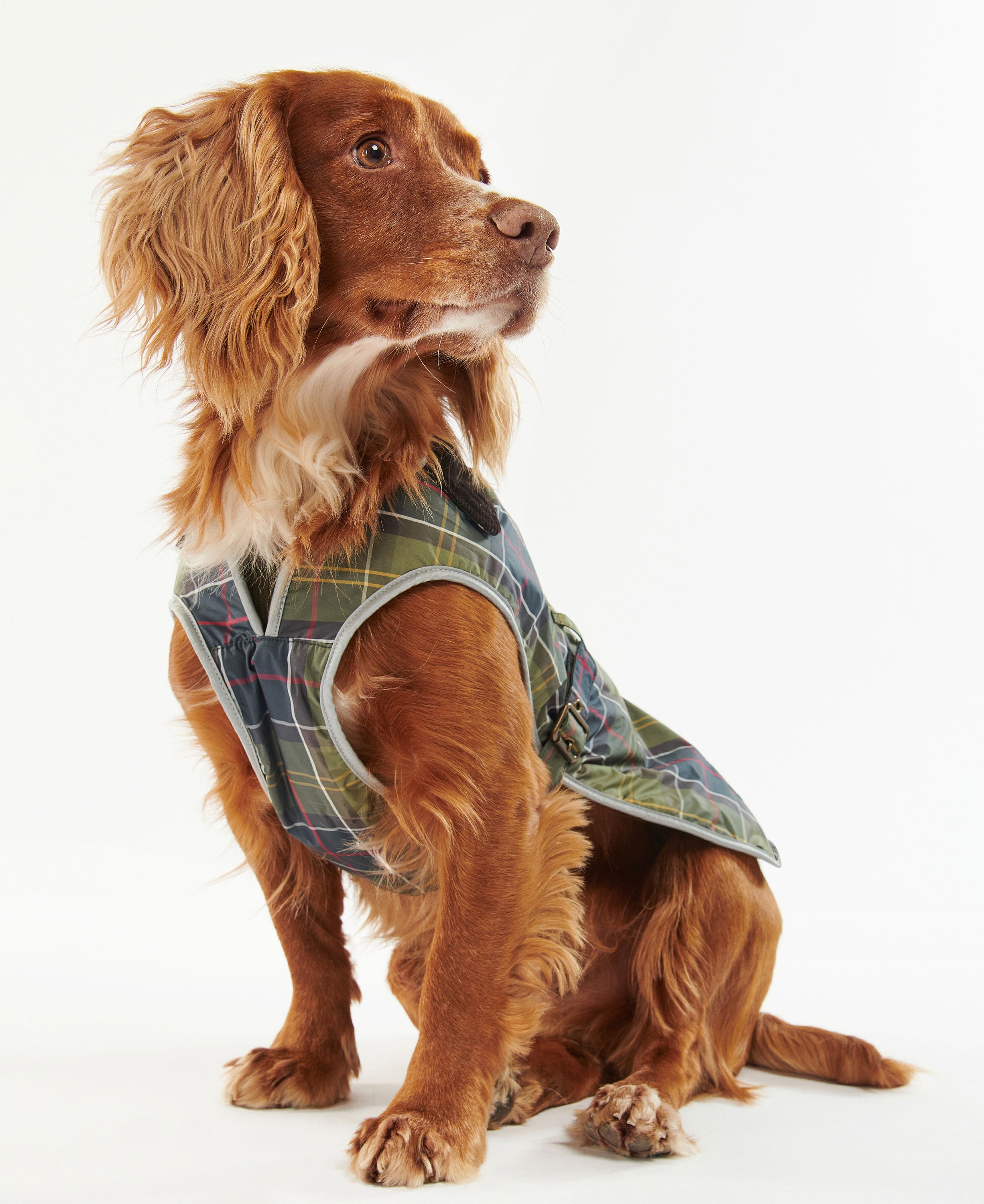 Waterproof Tartan Dog Coat - Classic Tartan