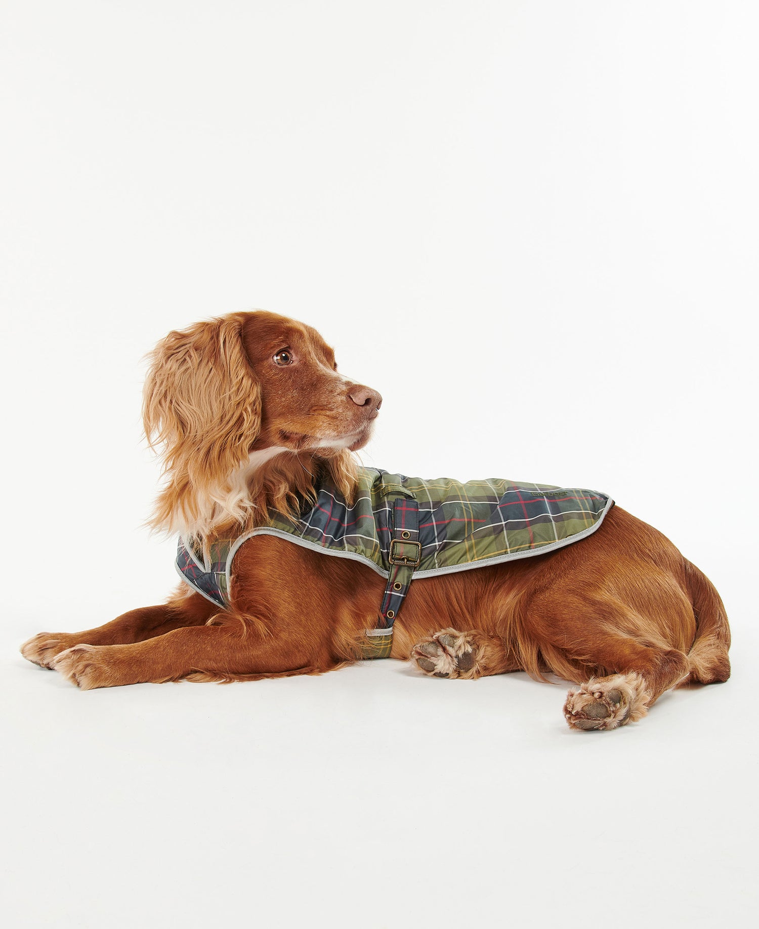 Waterproof Tartan Dog Coat - Classic Tartan