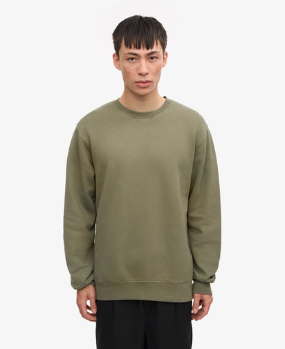 Classic Organic Crew - Dusty Olive