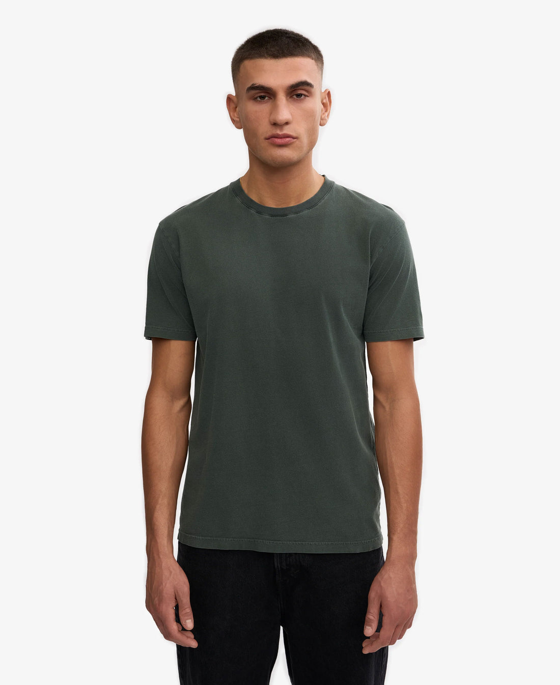 Classic Organic Tee - Midnight Forest