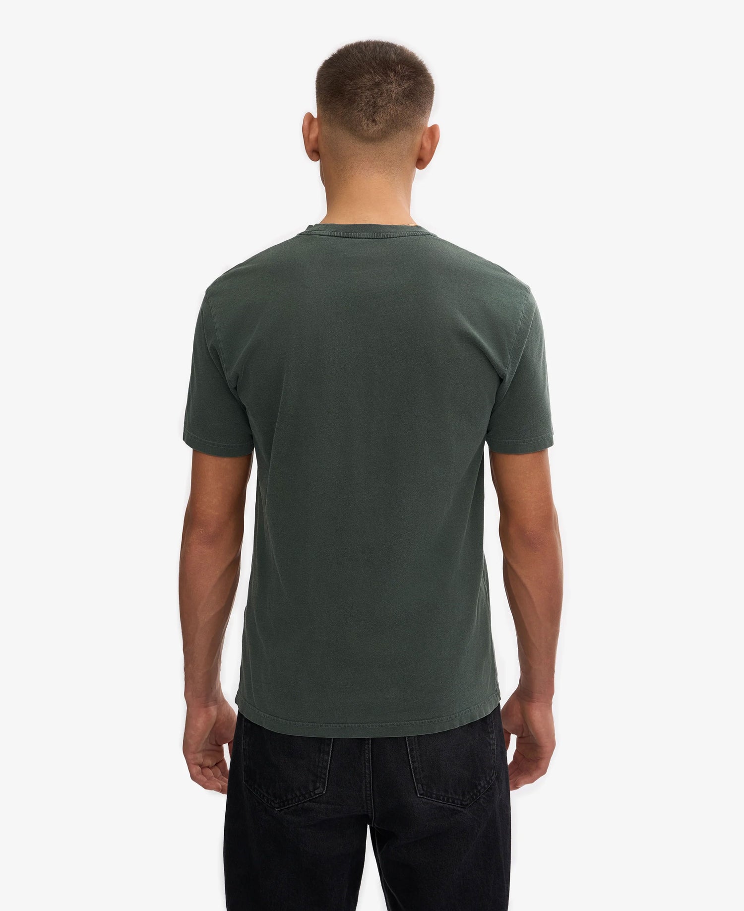 Classic Organic Tee - Midnight Forest