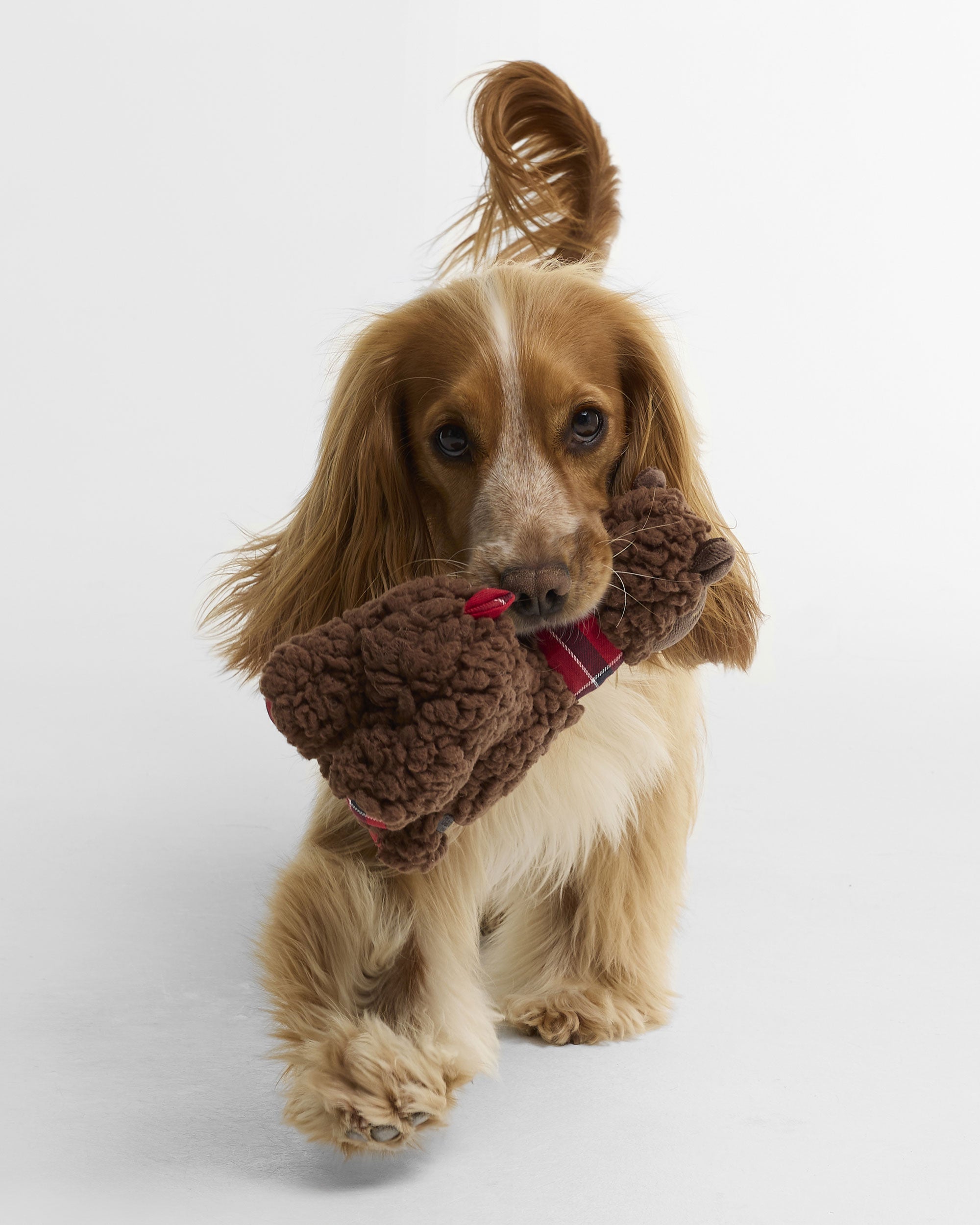 Dog Llama Toy - Brown