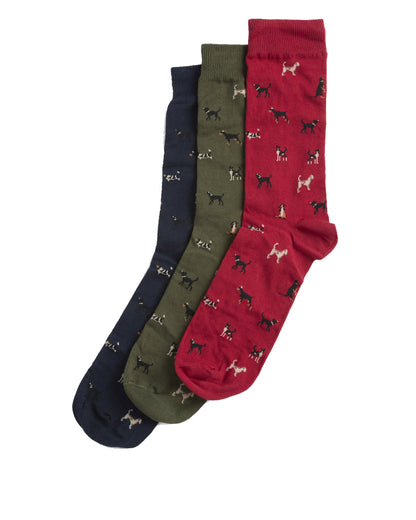 Dog Sock Gift Set - Navy/Red/Green