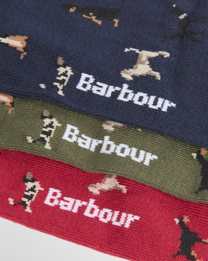 Dog Sock Gift Set - Navy/Red/Green