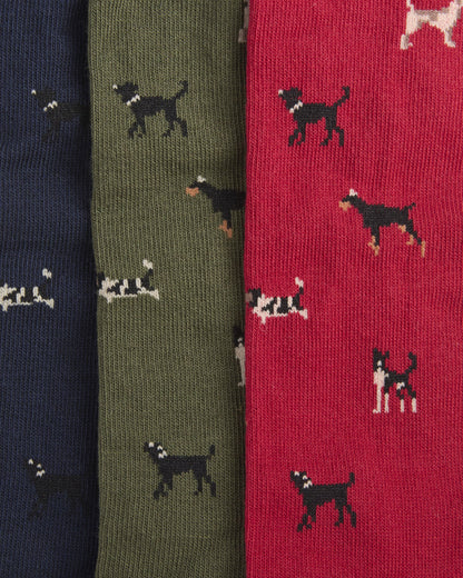 Dog Sock Gift Set - Navy/Red/Green