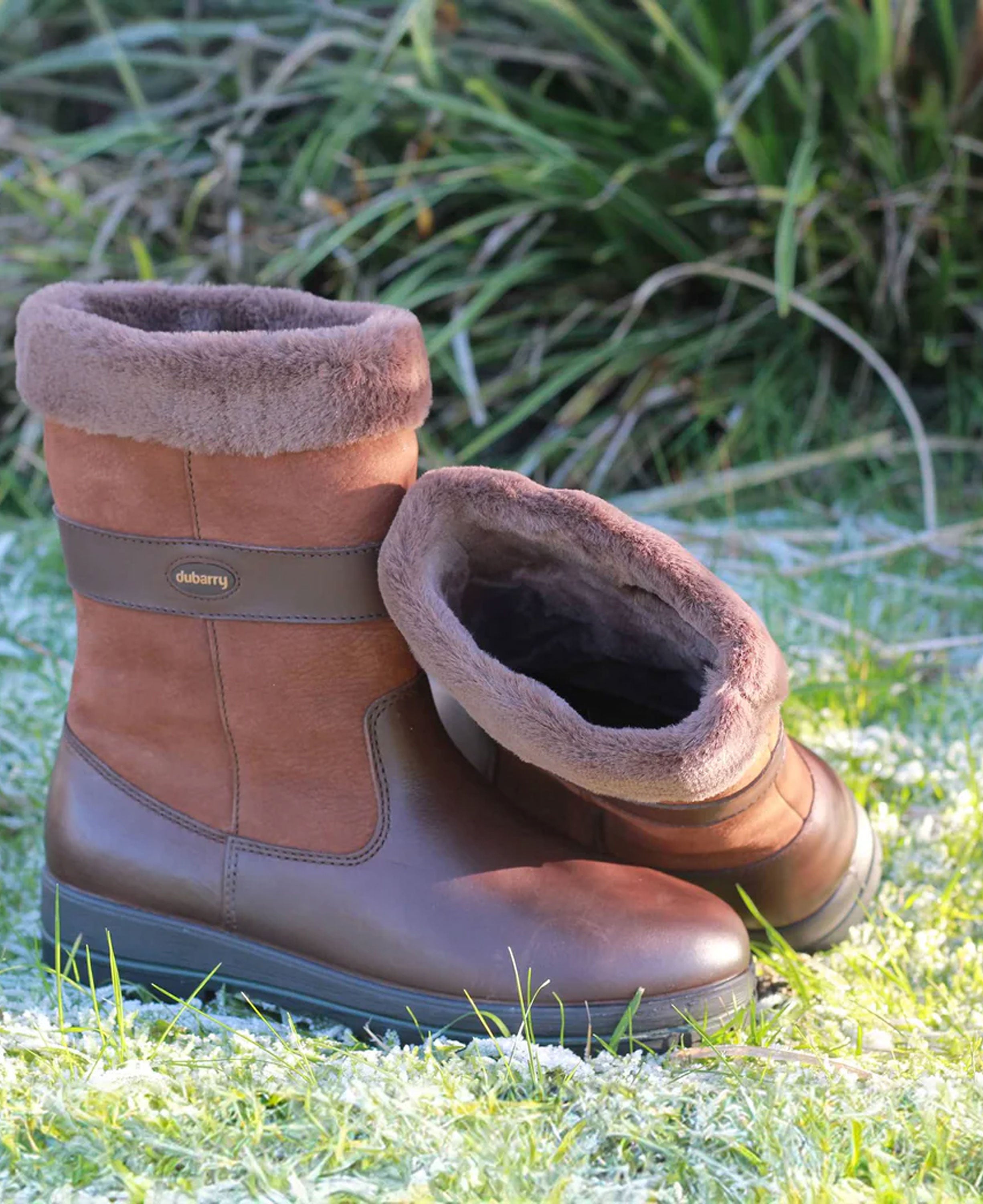 Foxrock - Walnut