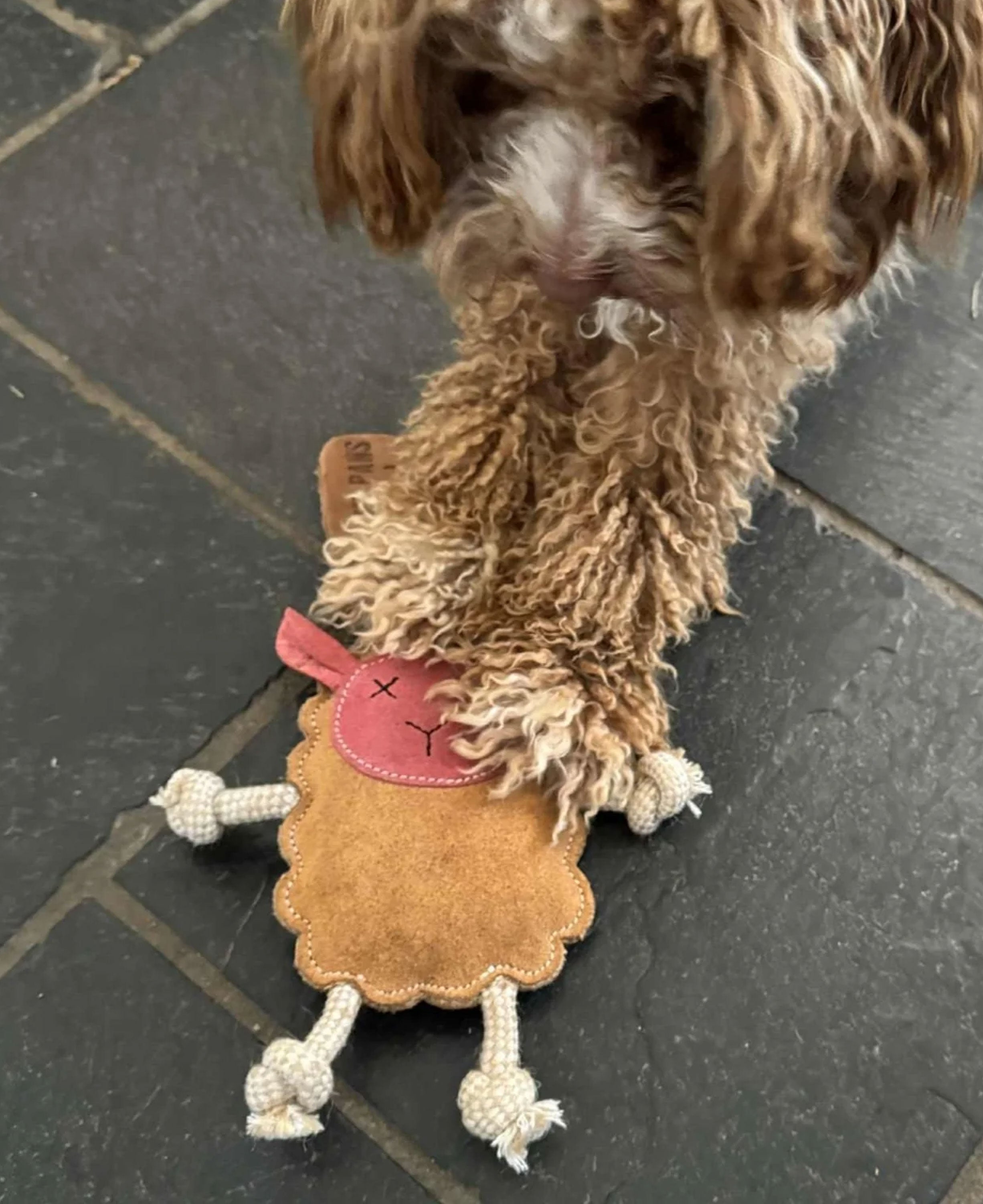 Mary The Lamb - Natural